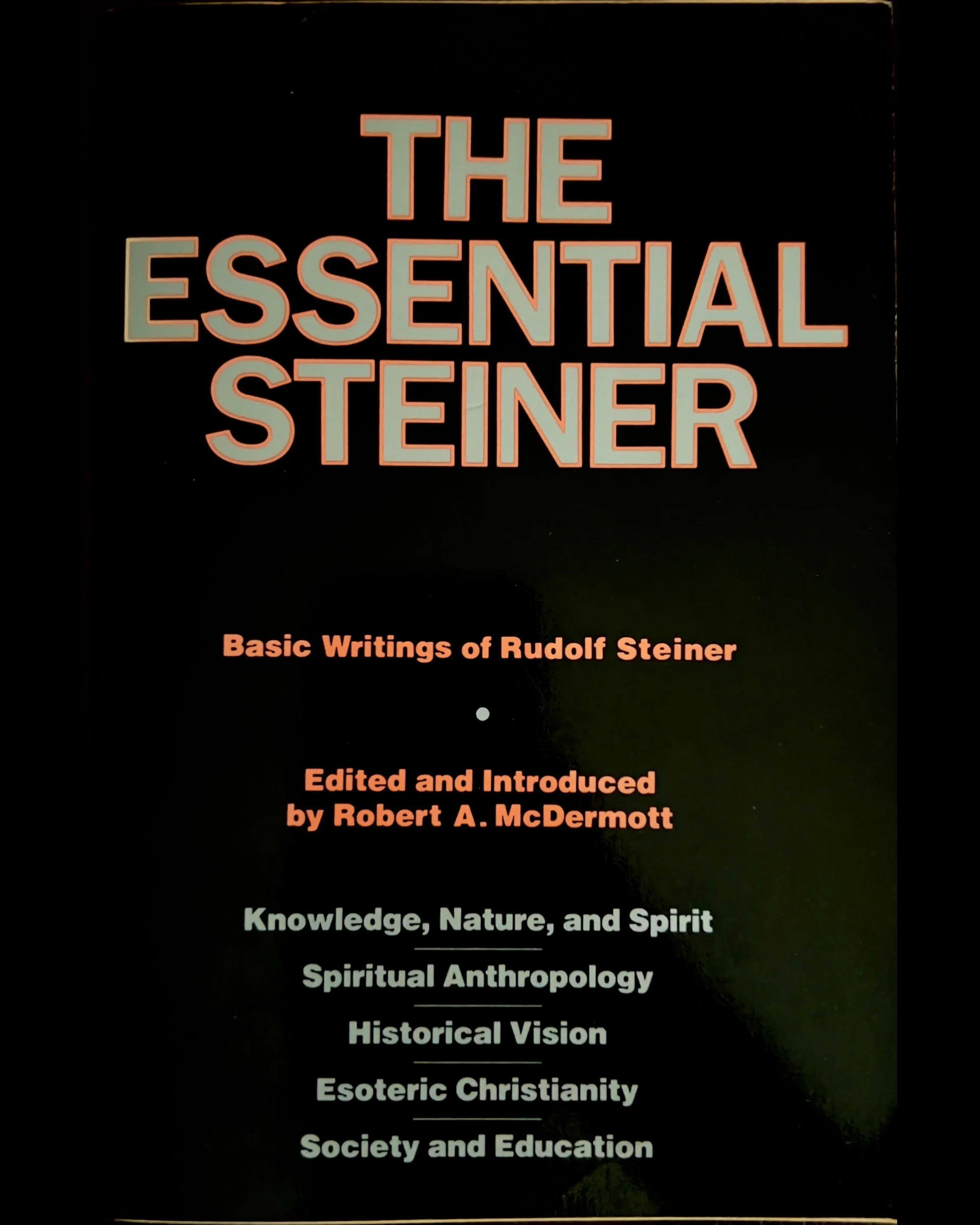 The Essential Steiner: Basic Writings of Rudolf Steiner - Rudolf Steiner