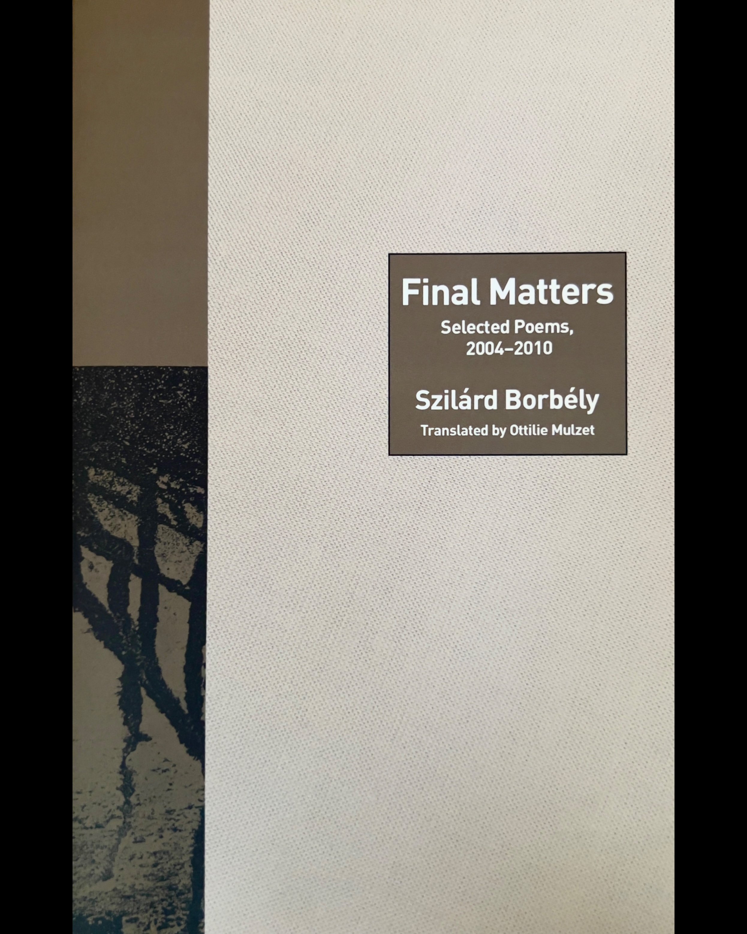 Final Matters: Selected Poems, 2004-2010 - Szilárd Borbély