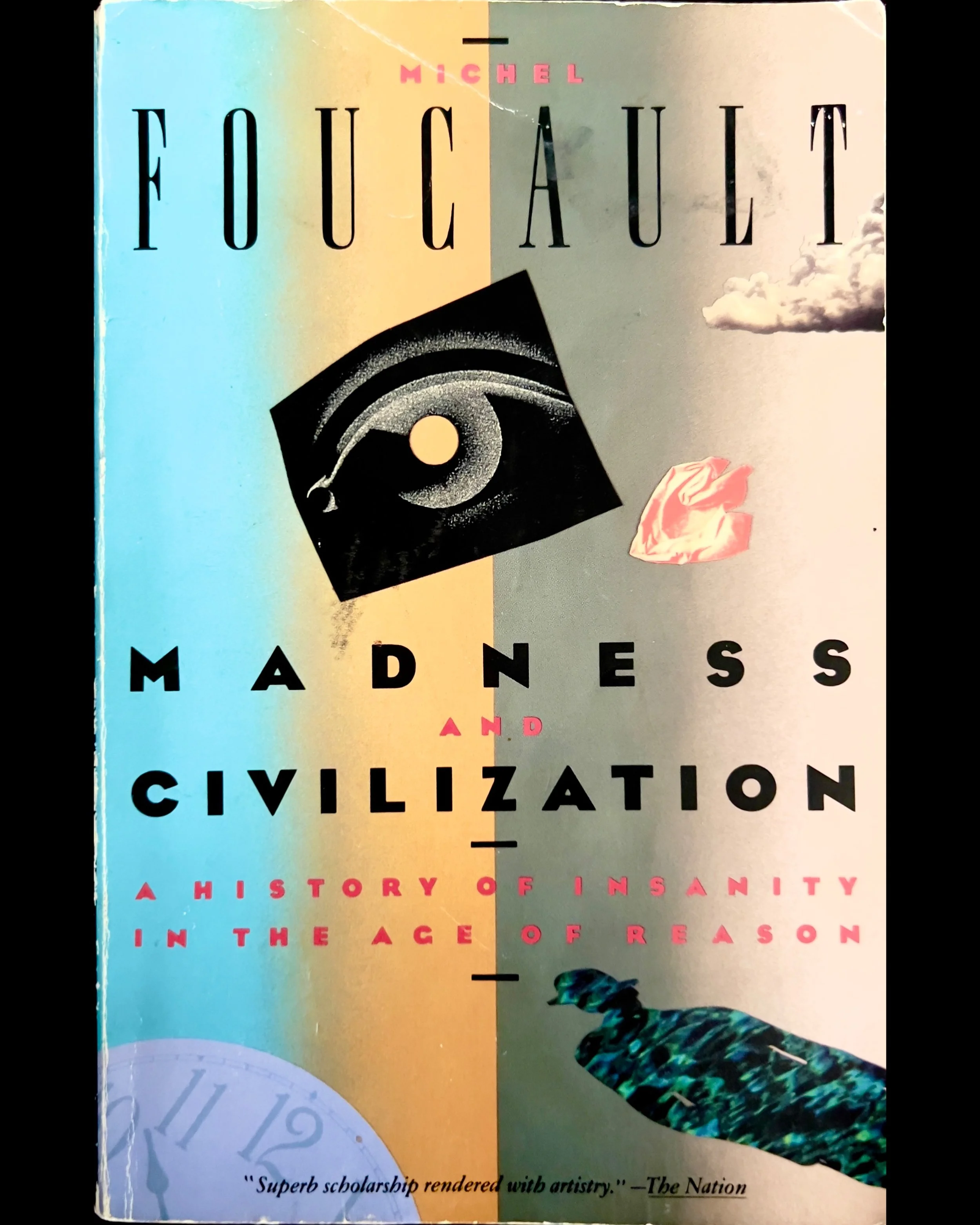 Madness and Civilization: A History of Insanity in the Age of Reason - Michel Foucault