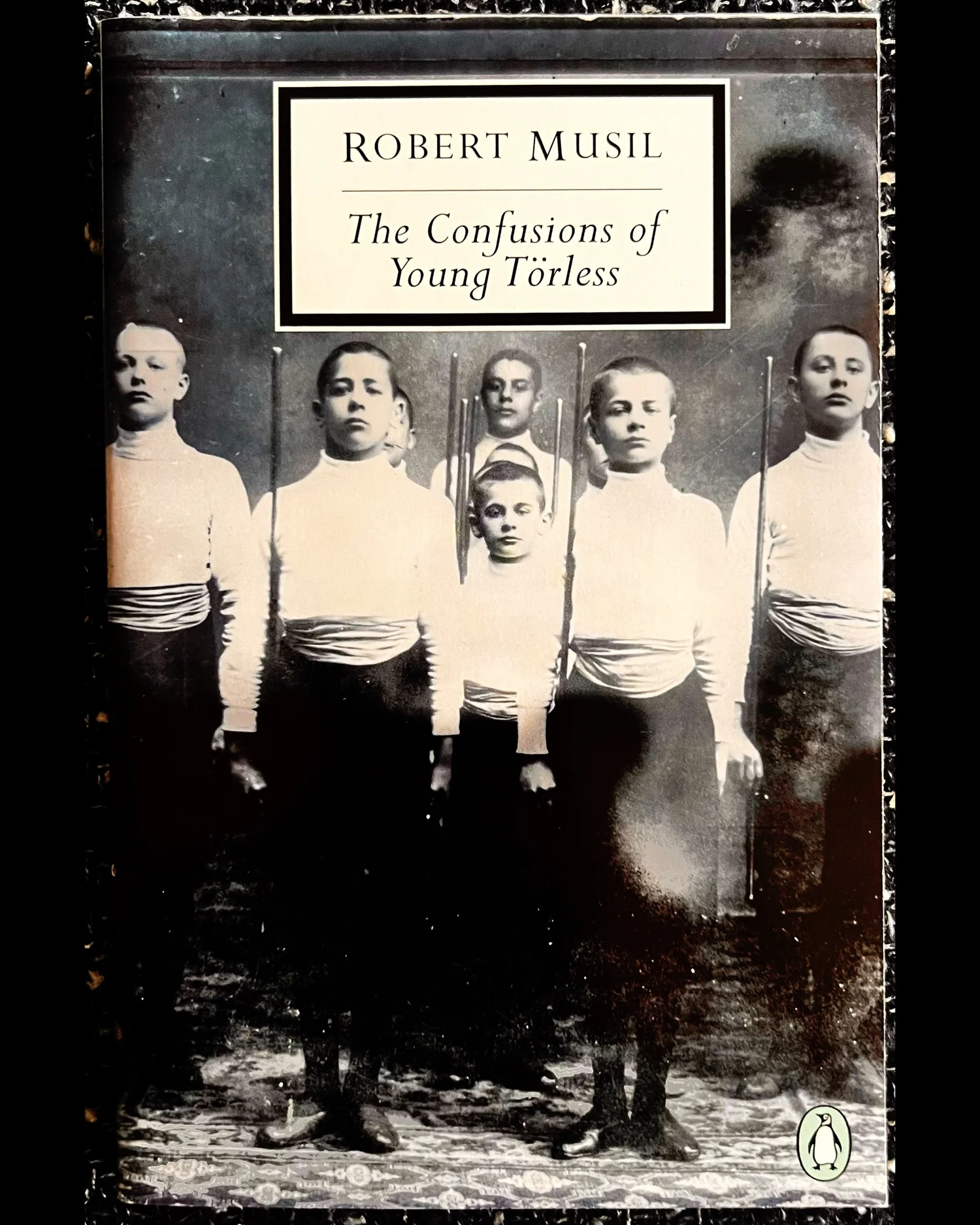 The Confusions of Young Törless - Robert Musil — Fangtooth Books