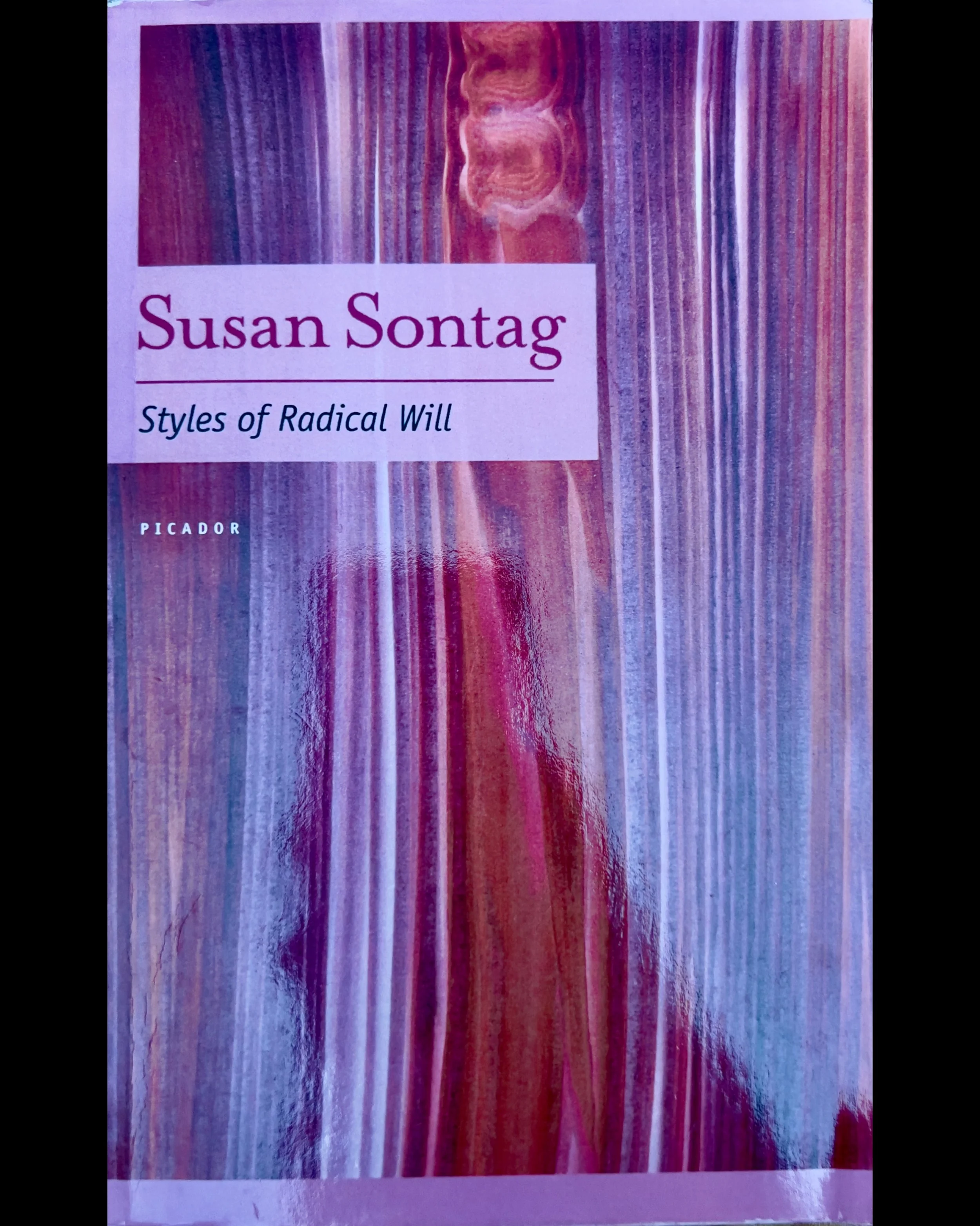 Styles of Radical Will - Susan Sontag