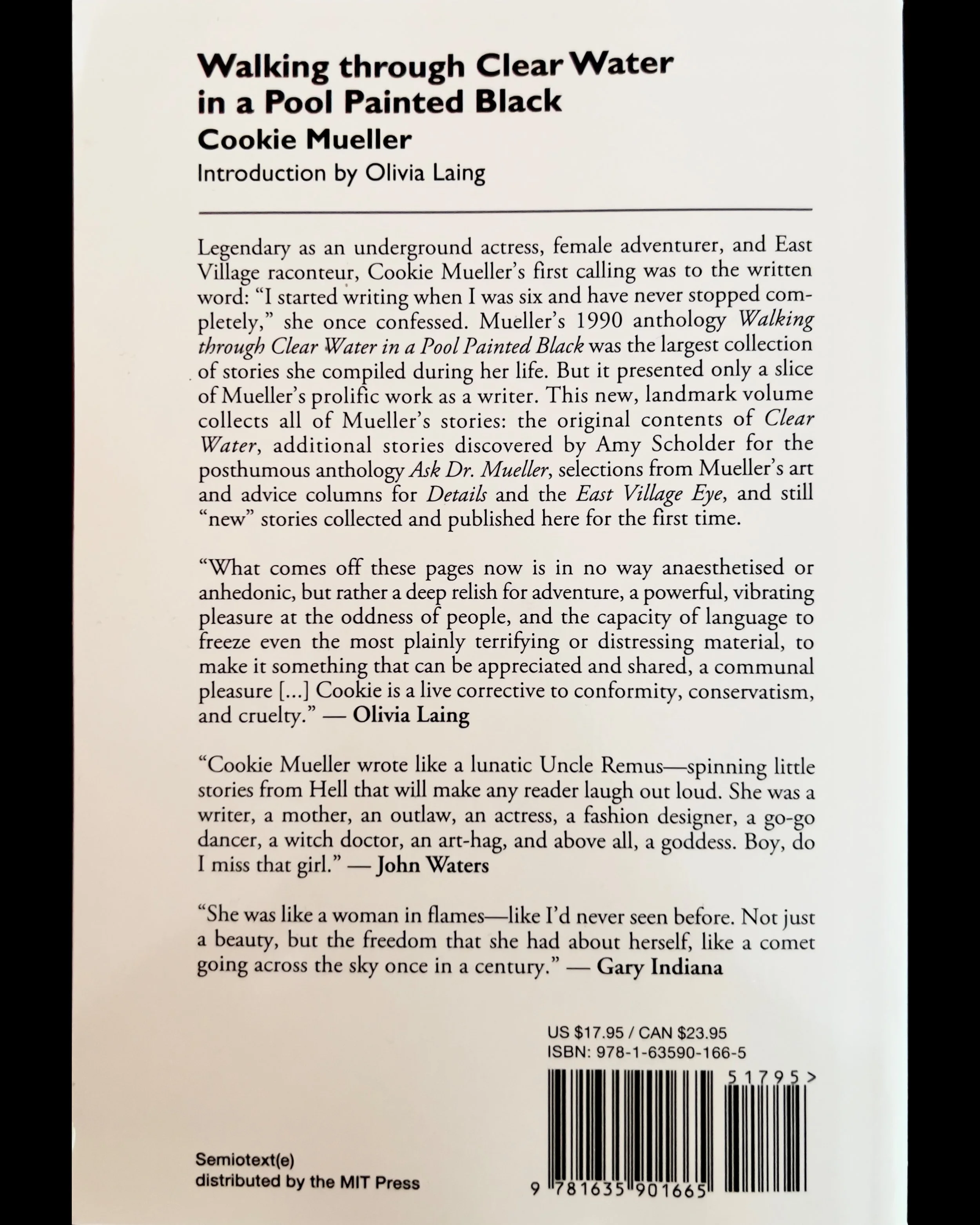 ISIMG-1089225.JPG (Copy) (Copy)