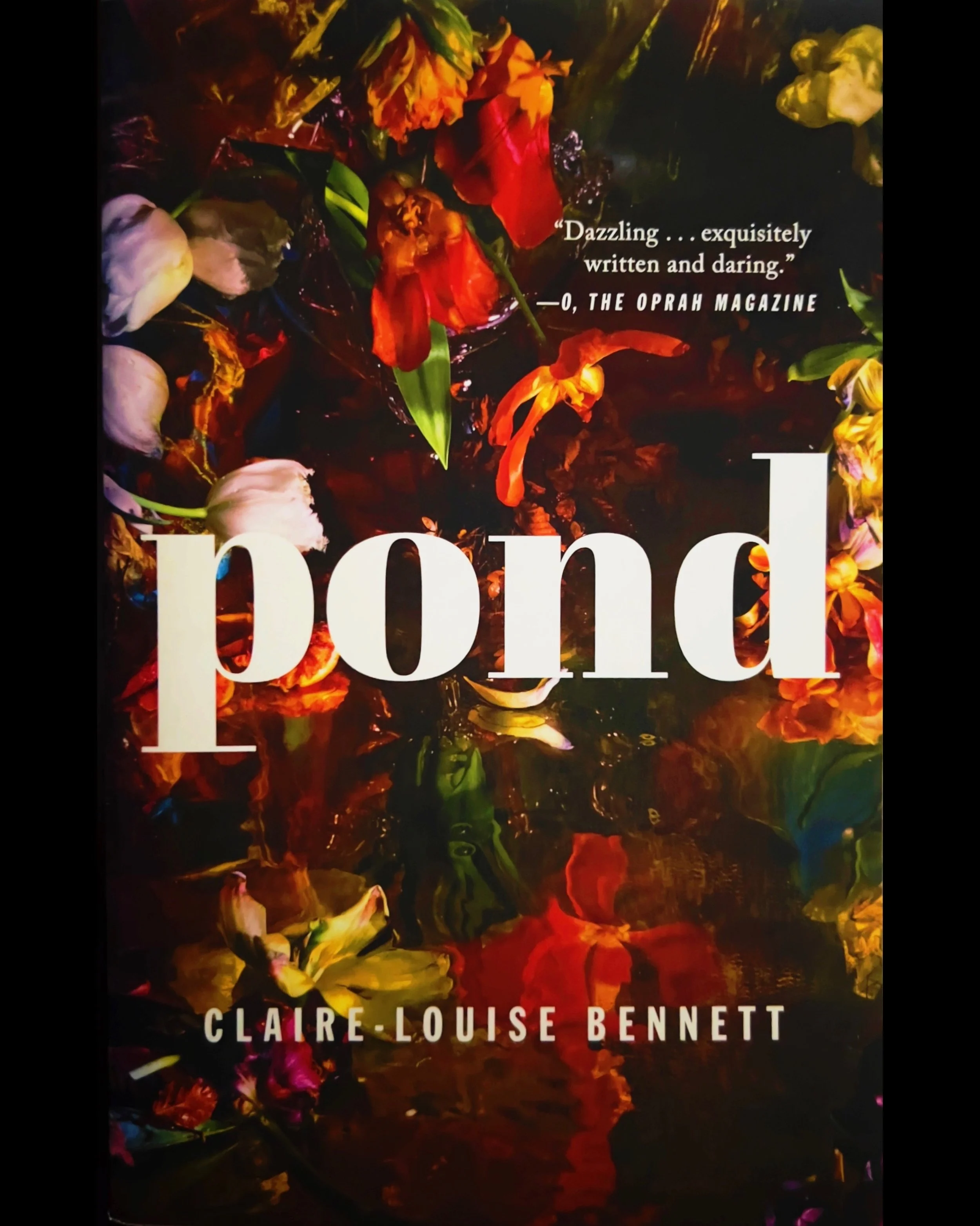 Pond - Claire-Louise Bennett