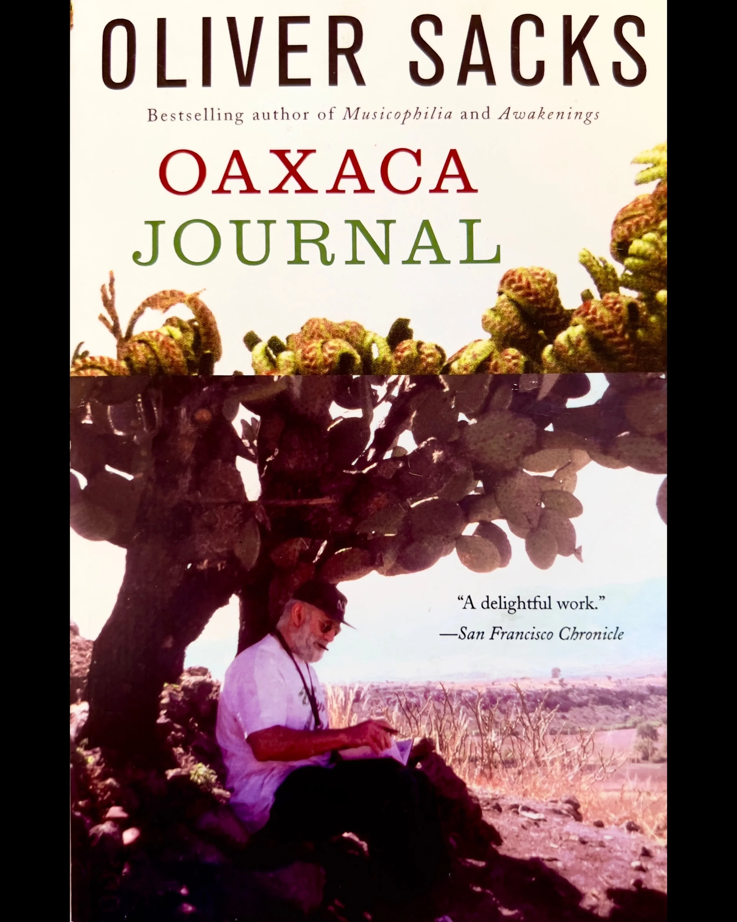 ISIMG-704454.JPG (Copy) (Copy)