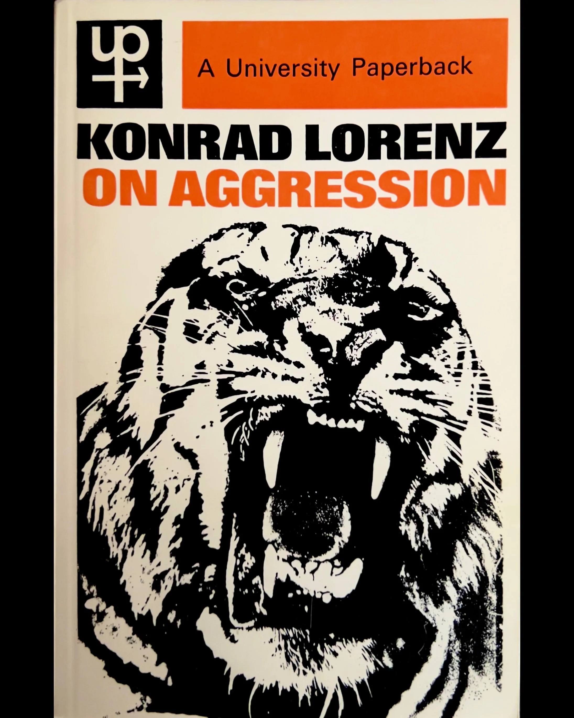 ISIMG-1092408.JPG (Copy)