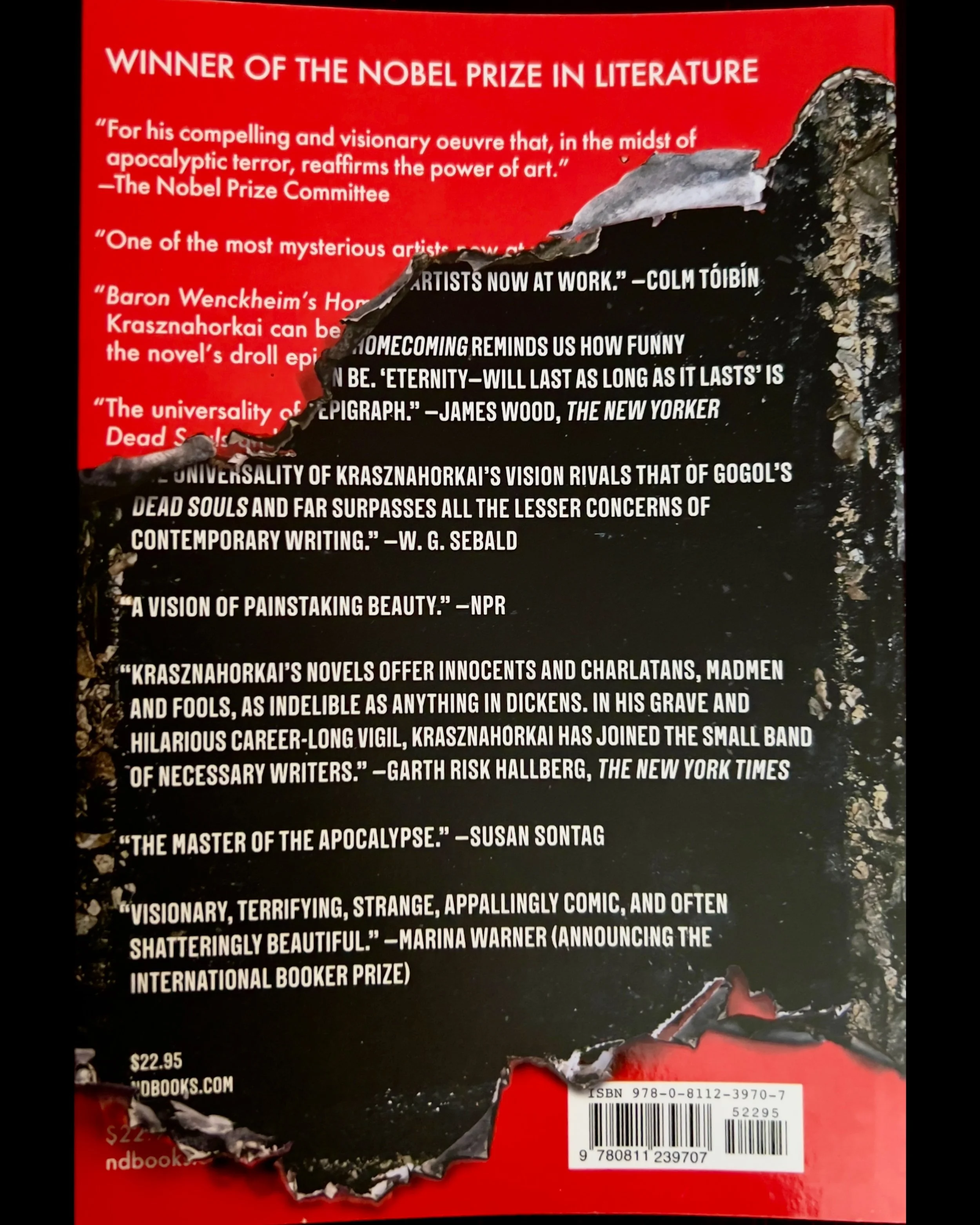 ISIMG-1091096.JPG (Copy)