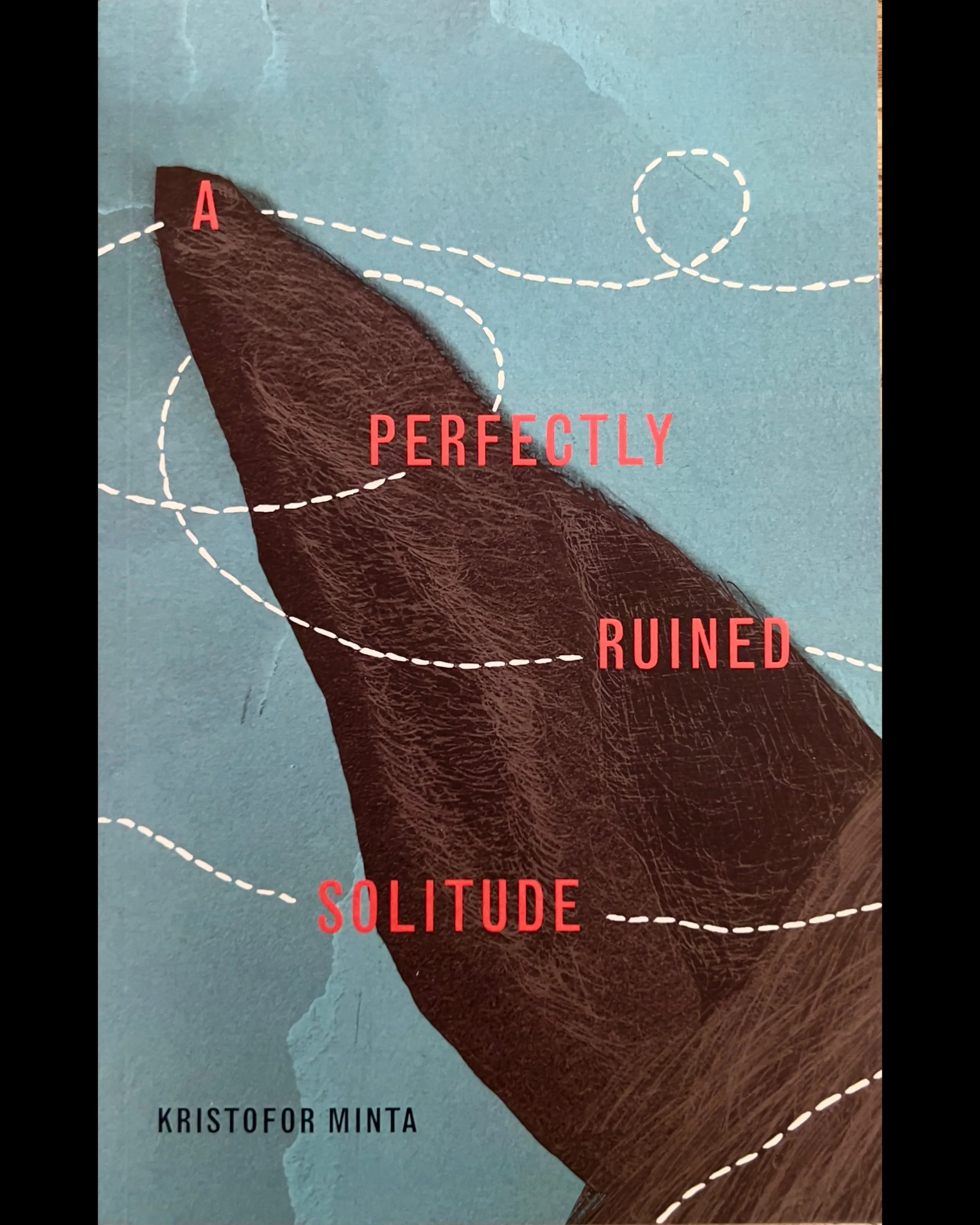 A Perfectly Ruined Solitude - Kristofor Minta