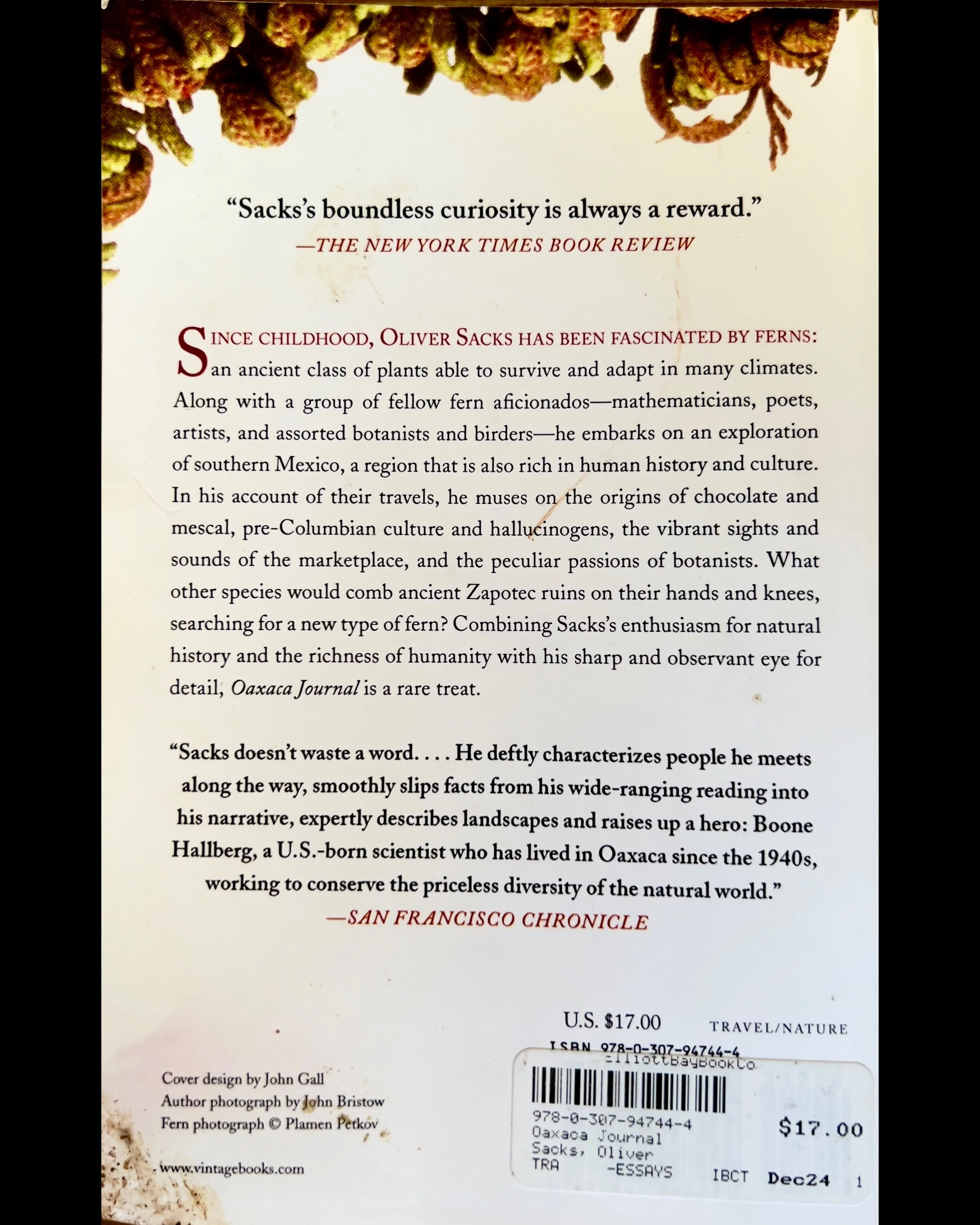 ISIMG-704375.JPG (Copy) (Copy)