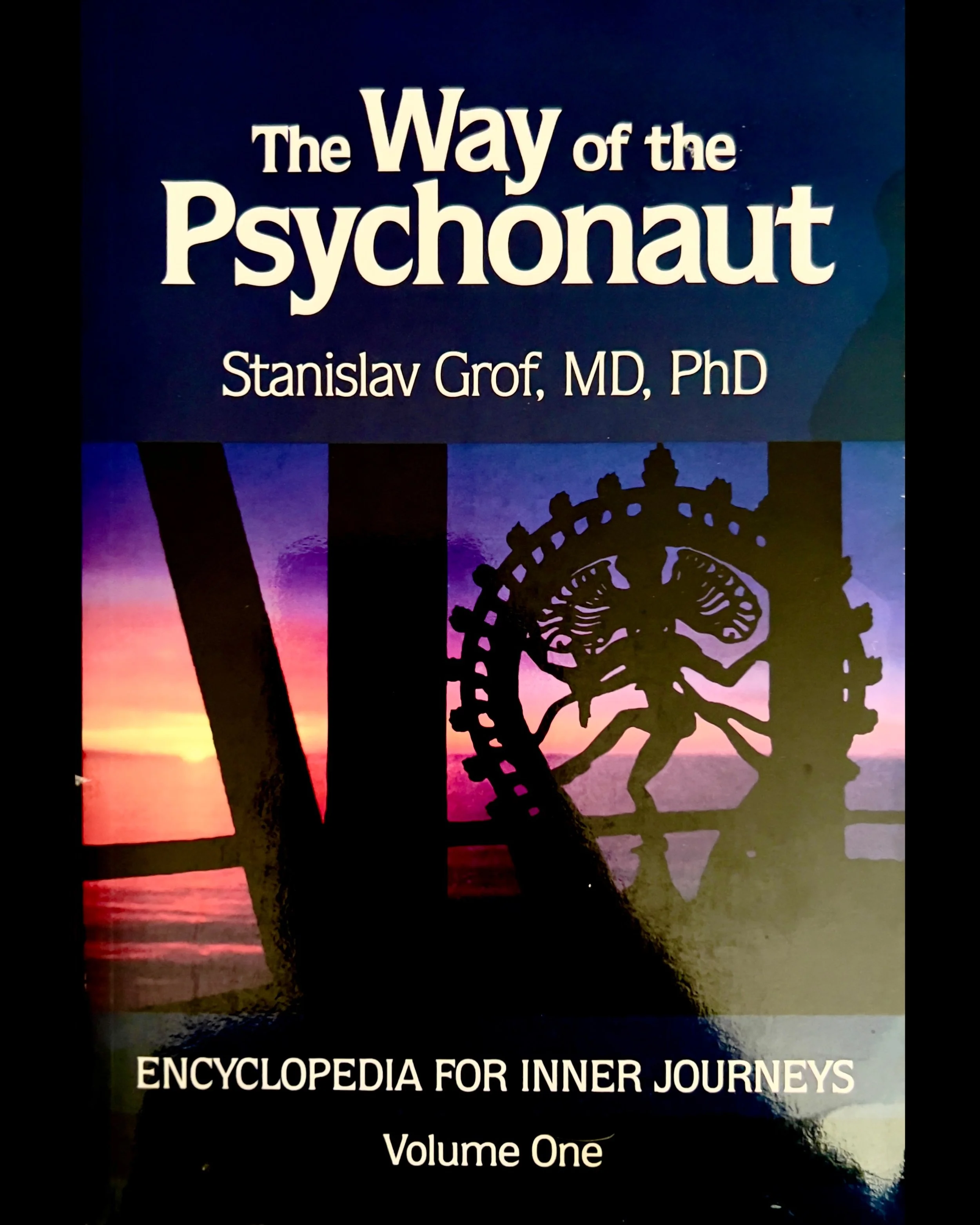 ISIMG-1137466.JPG (Copy)