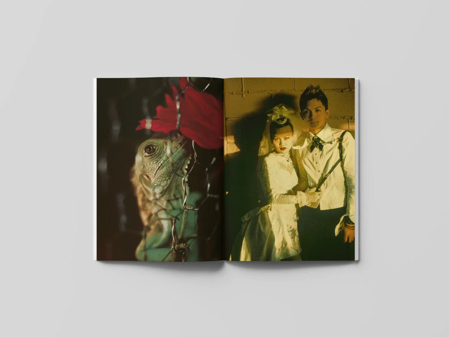FAR-NEAR-Vol6-Spreads-2-1536x1152.jpg.webp (Copy)