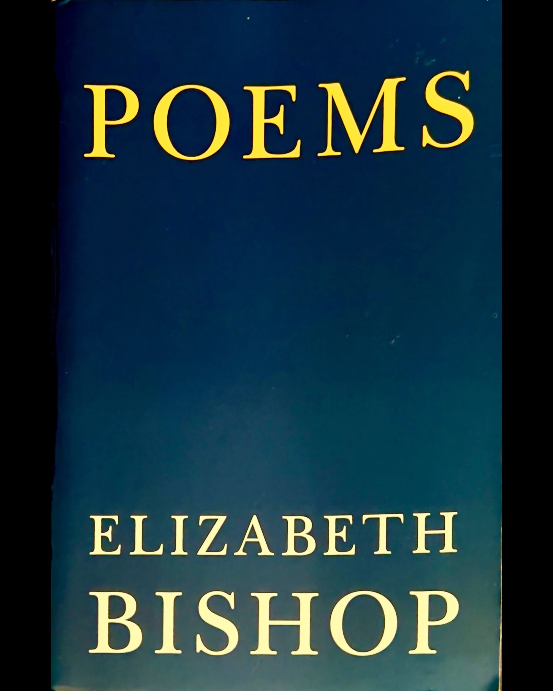 ISIMG-1106177.JPG (Copy)