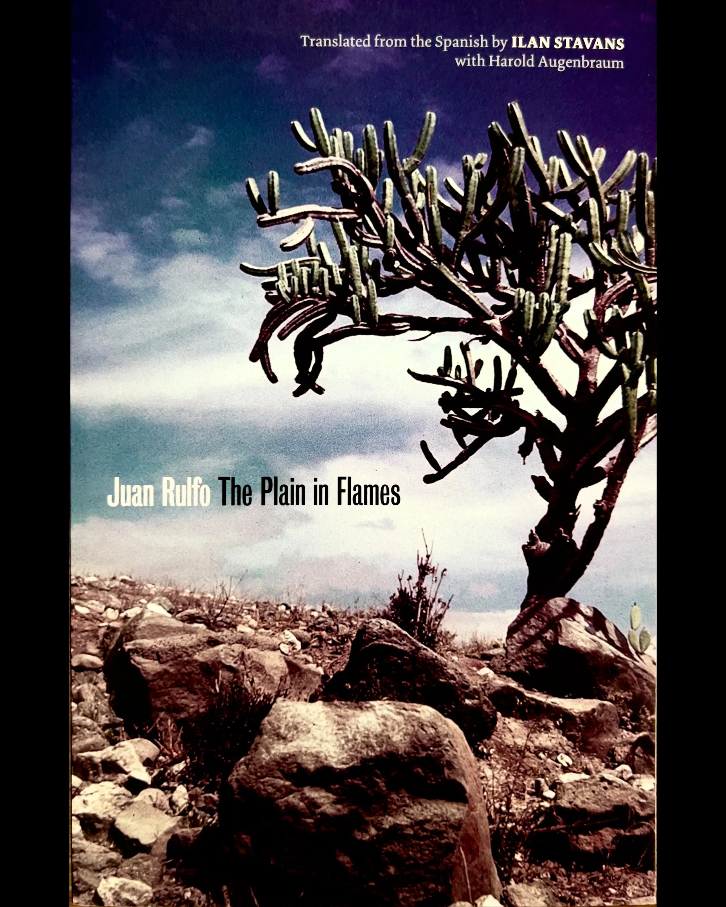 The Plain in Flames - Juan Rulfo
