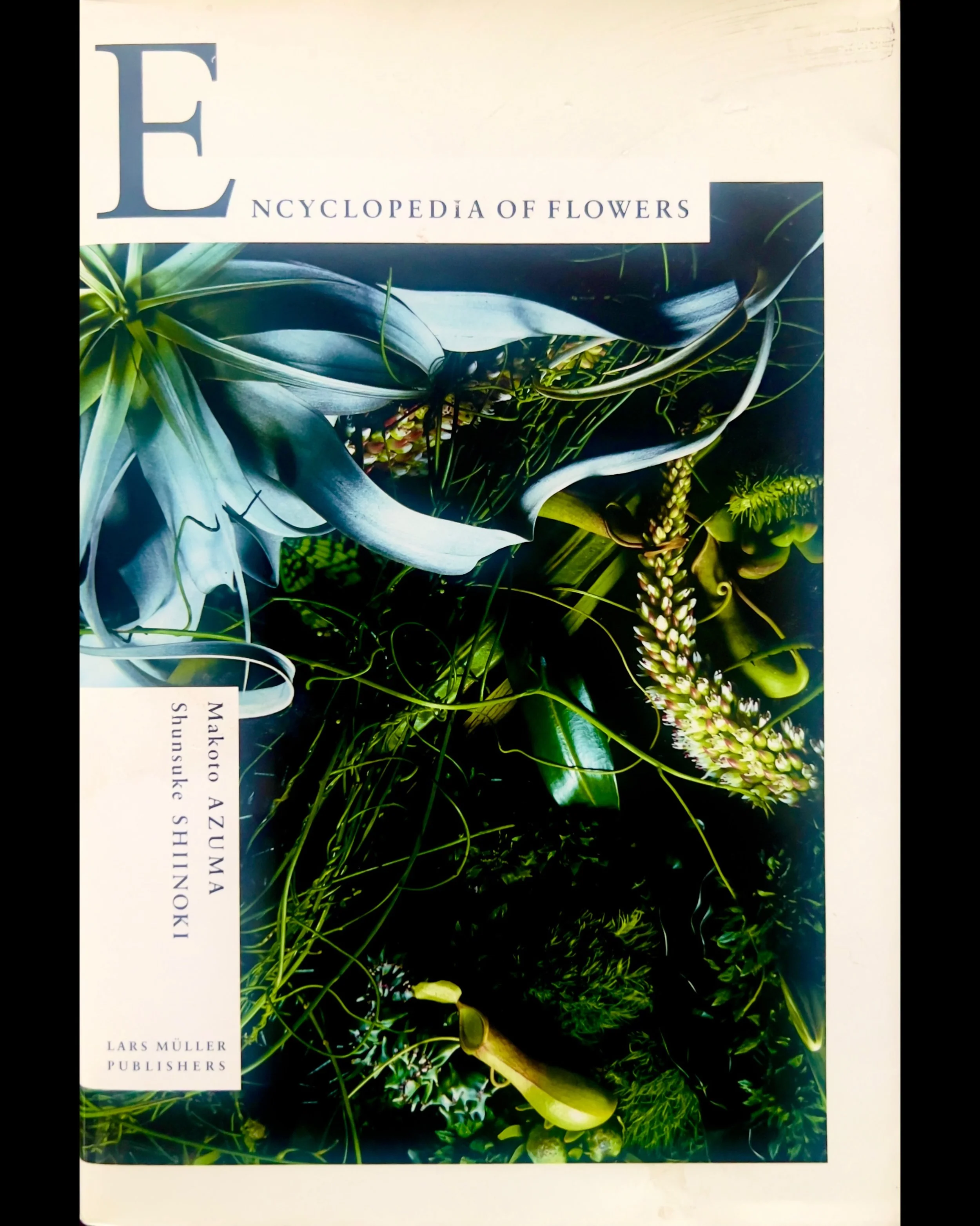 Encyclopedia of Flowers - Makoto Azuma + Shunsuke Shiinoki