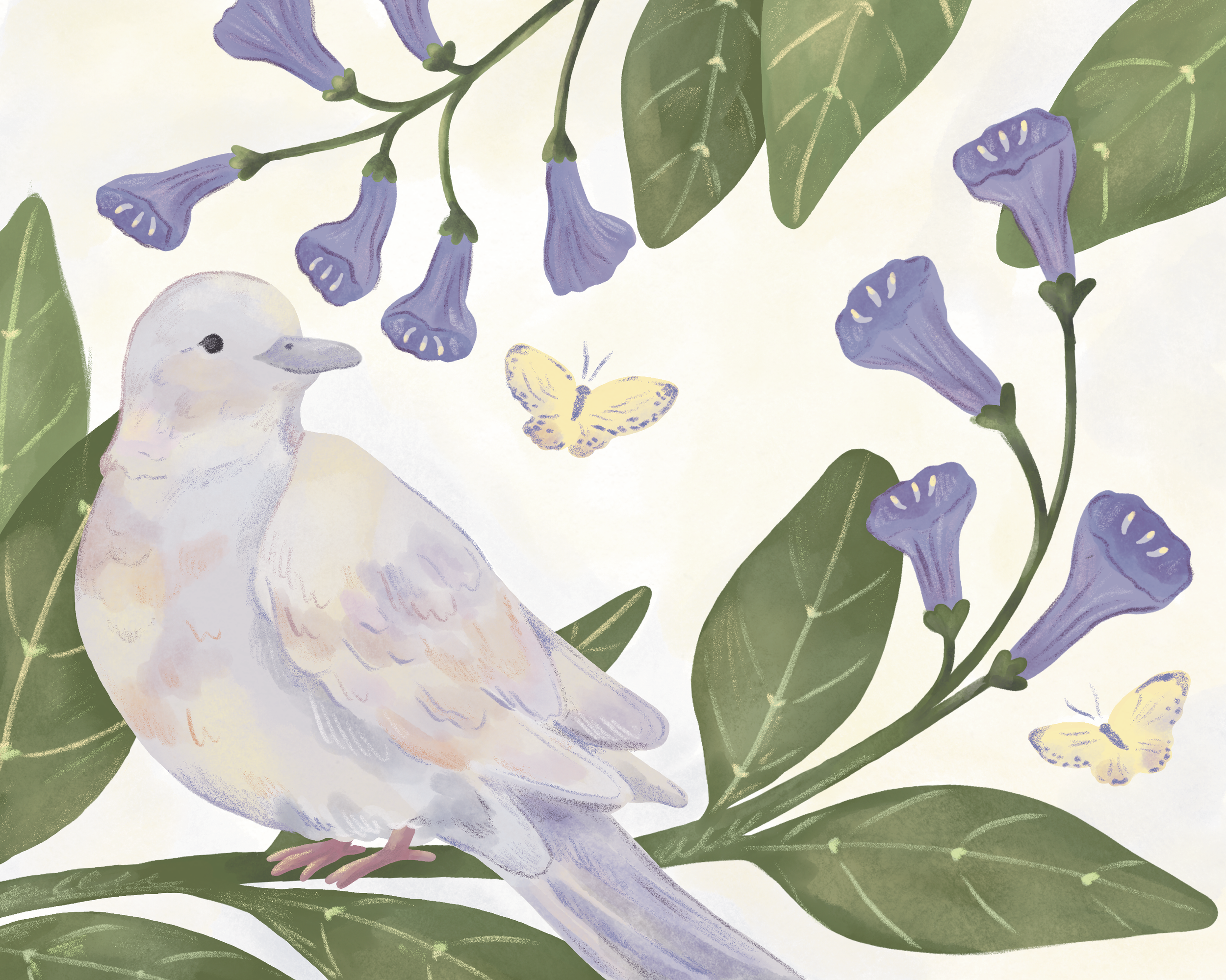 Morning_Dove_&_Blue_Bells_Combined.png