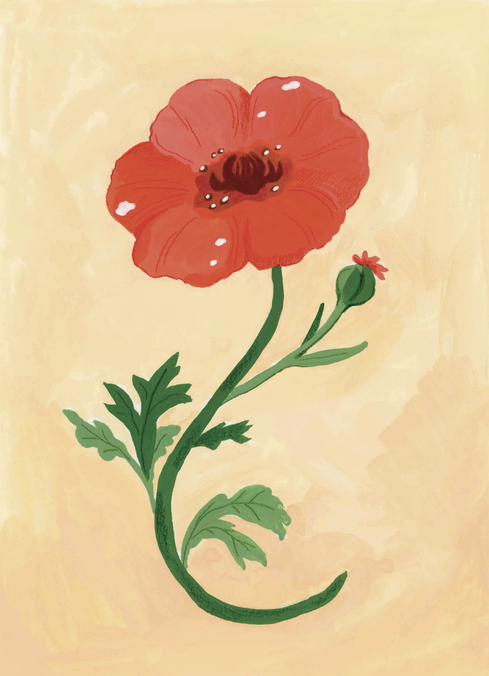 poppysmall.png
