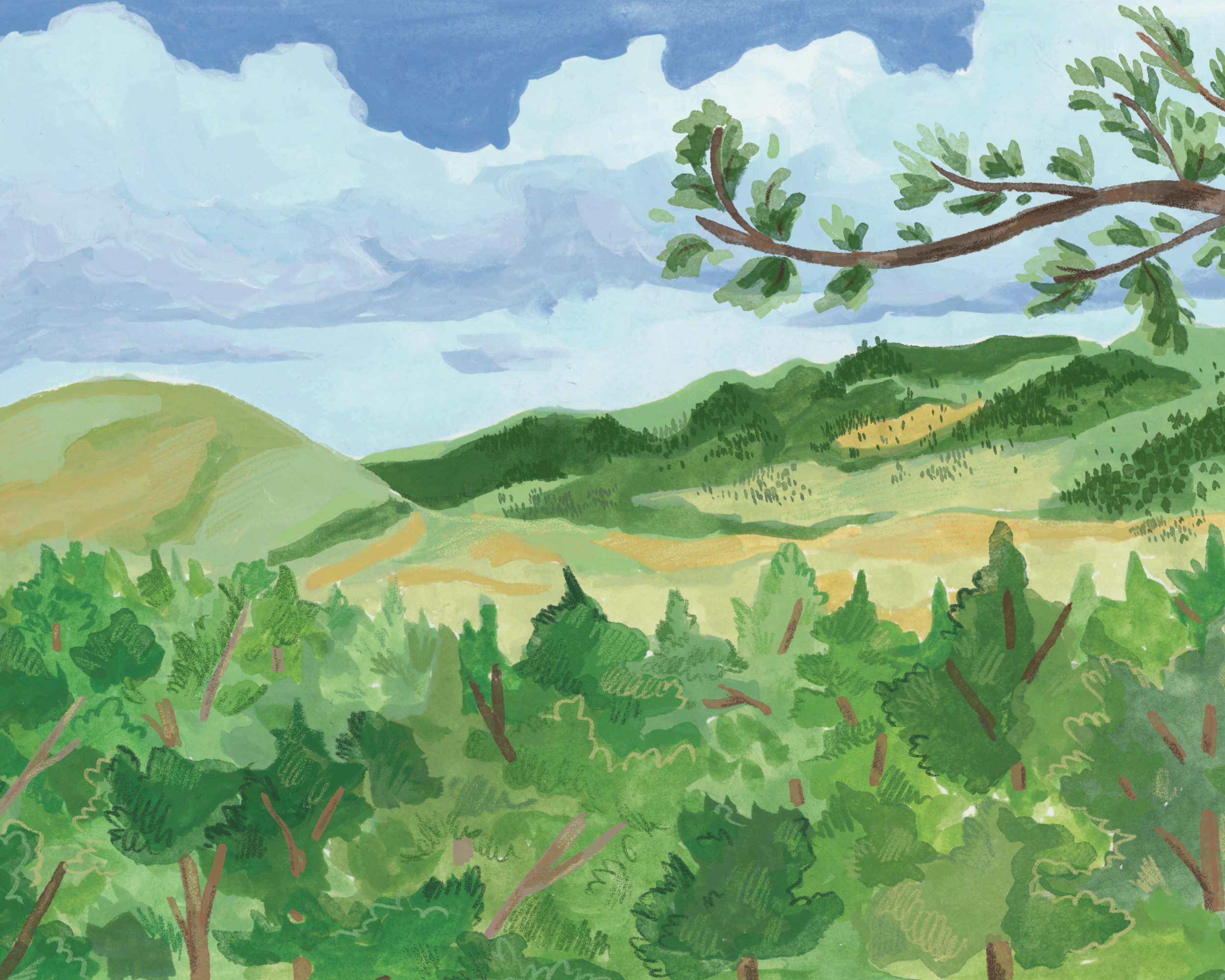 8x10manitousprings.png