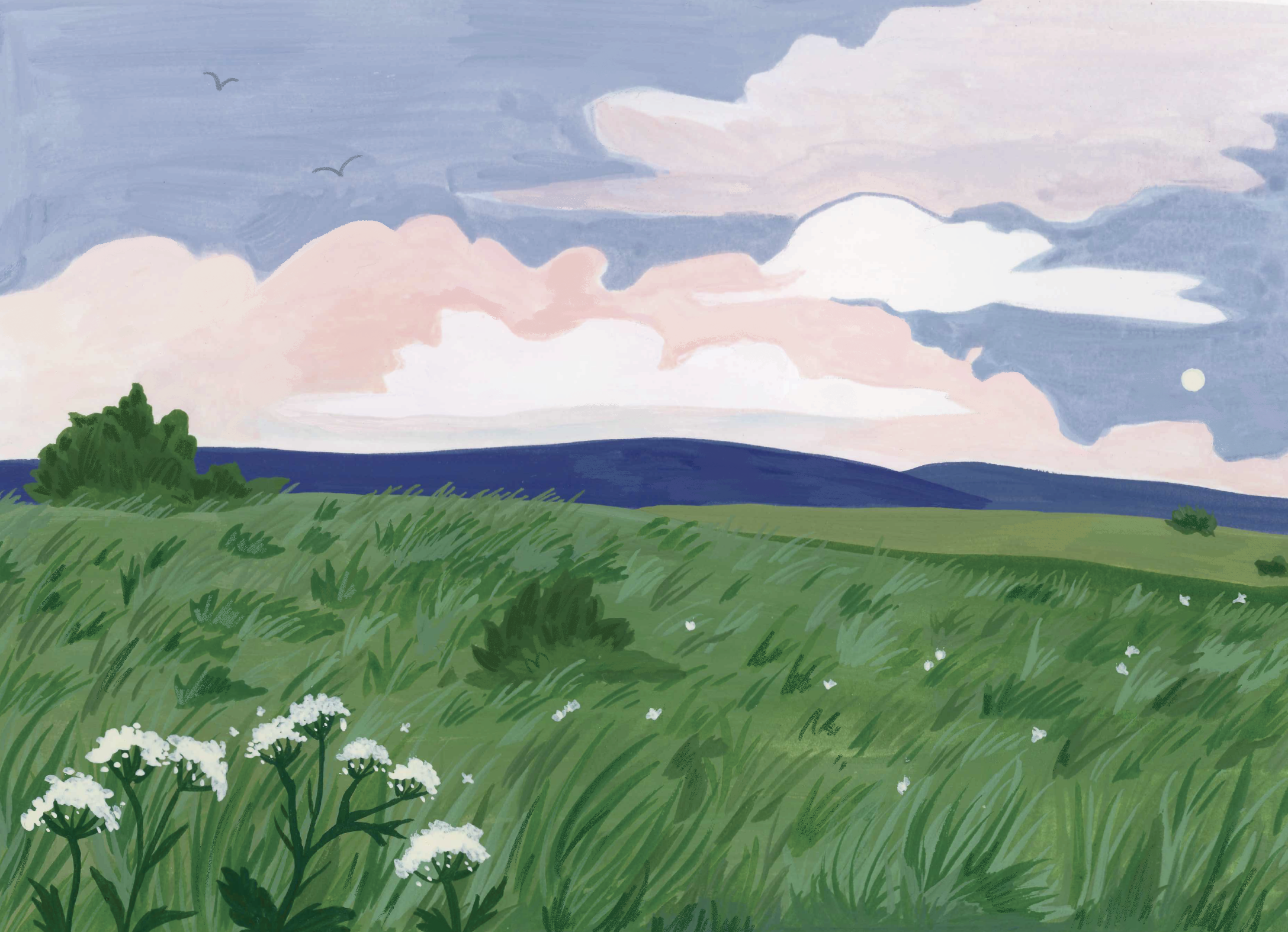 coloradotrip.png