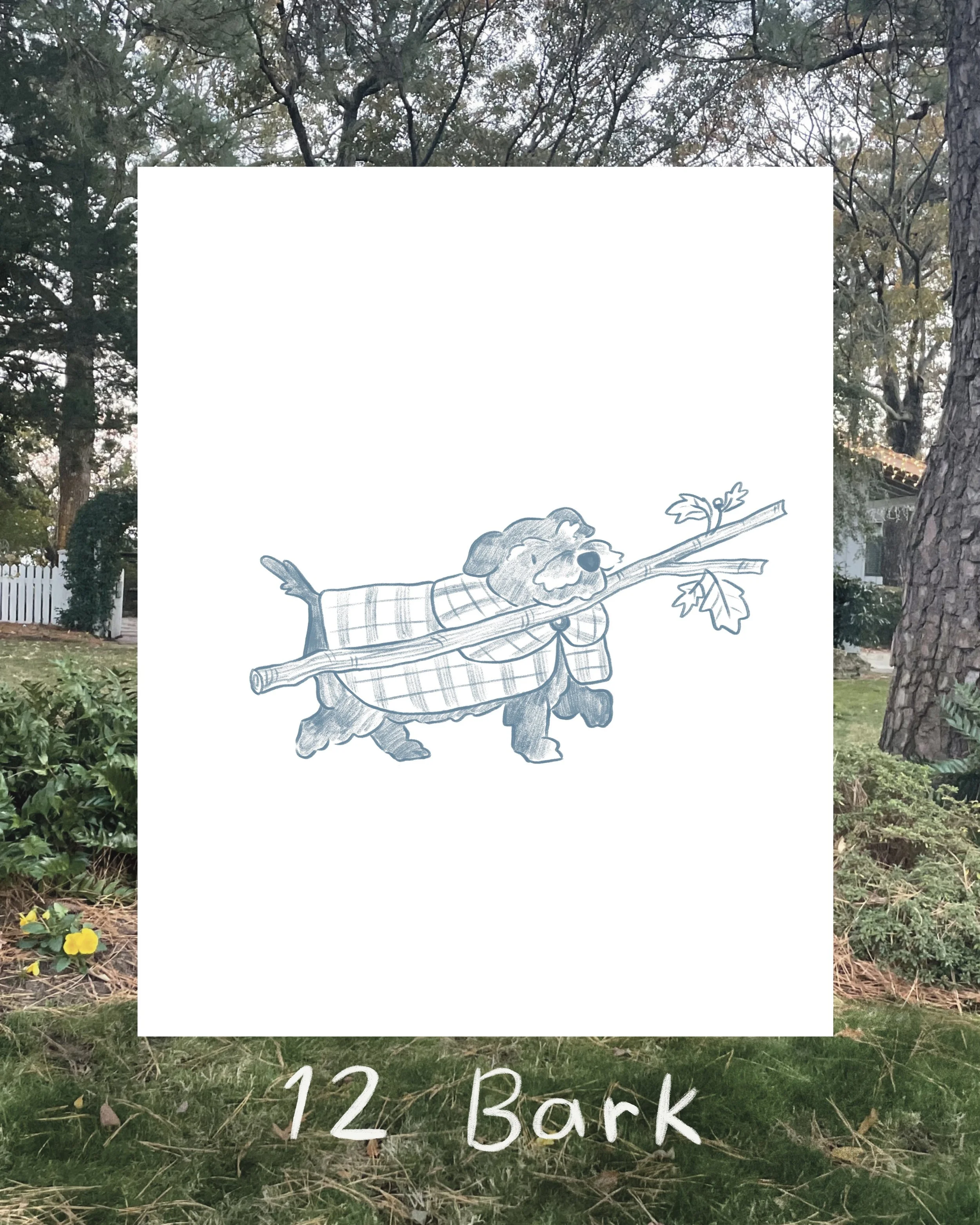 Untitled_Artwork 29.jpg