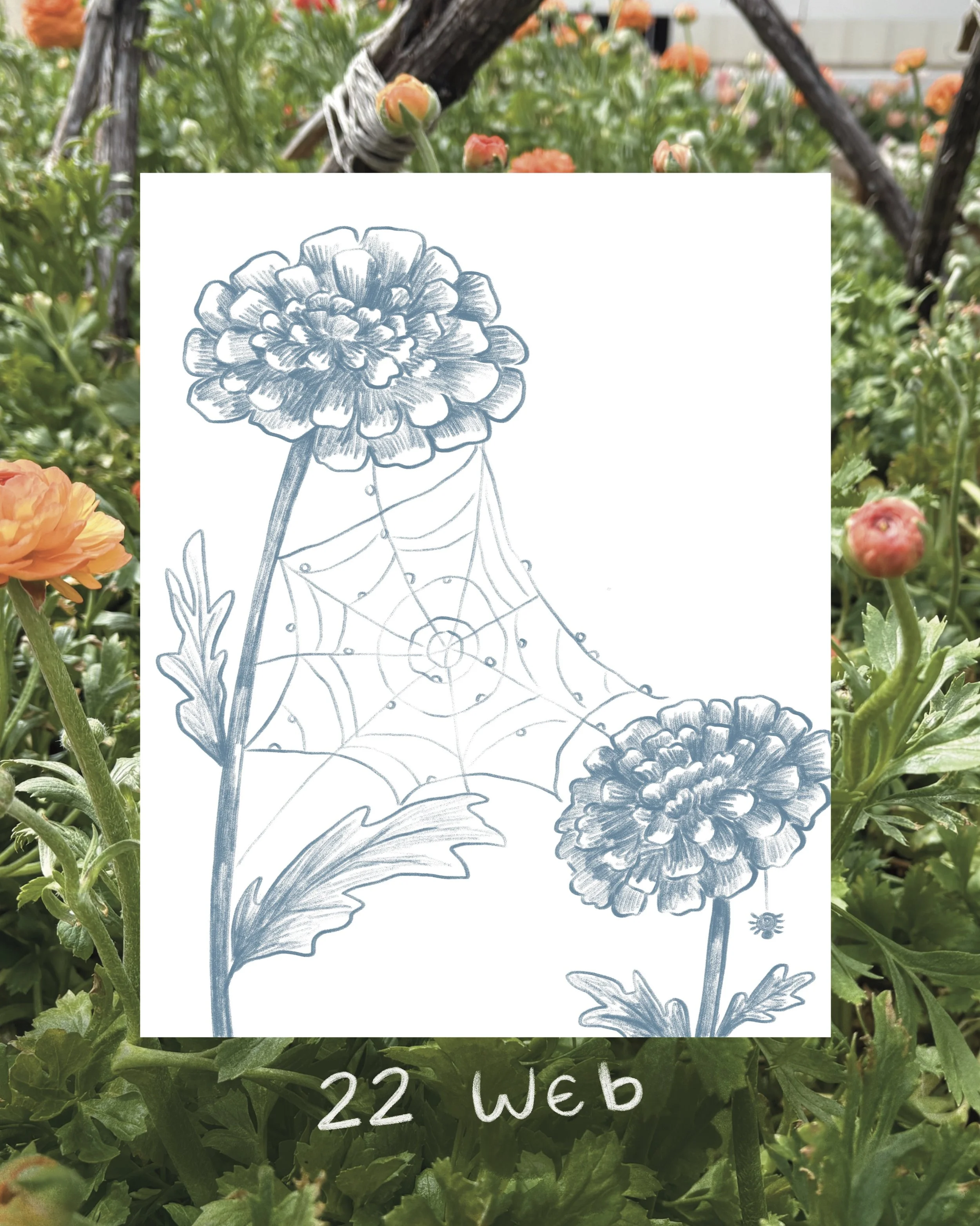 Untitled_Artwork 20.jpg