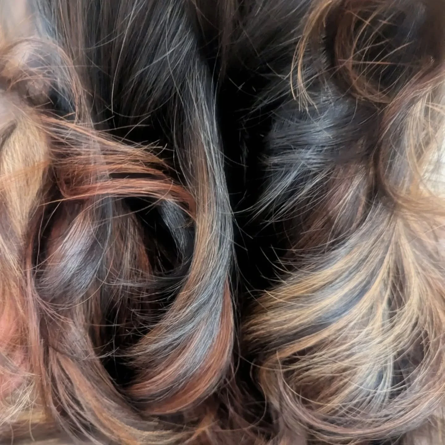 Whispers of Calico color