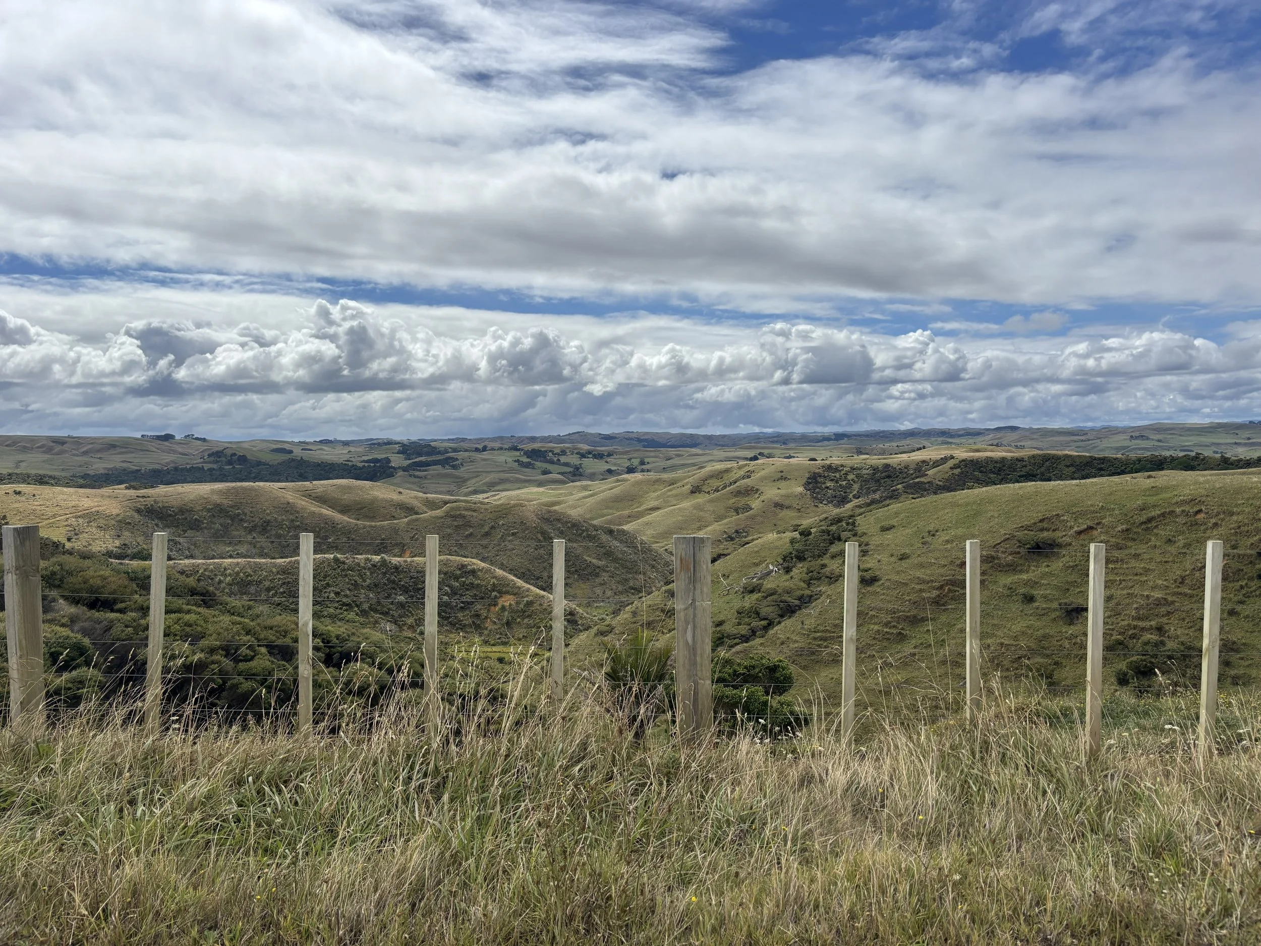 February 2026 - Newsletter