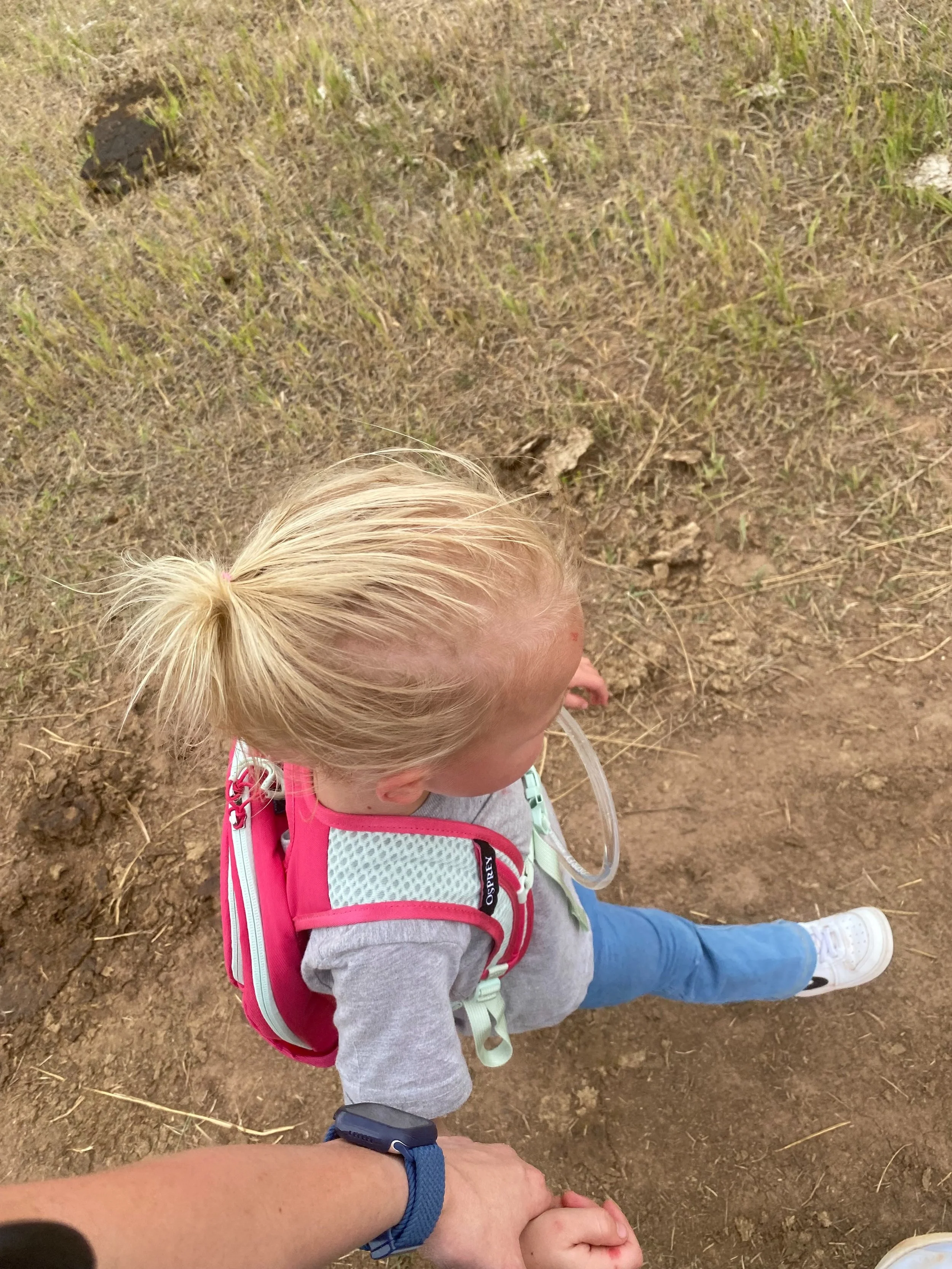 A beautiful hot day for a hike. I was out hiked by the 3 year old, and gained some new blisters.  #sdlife #hiking #momlife #hovdeneslit