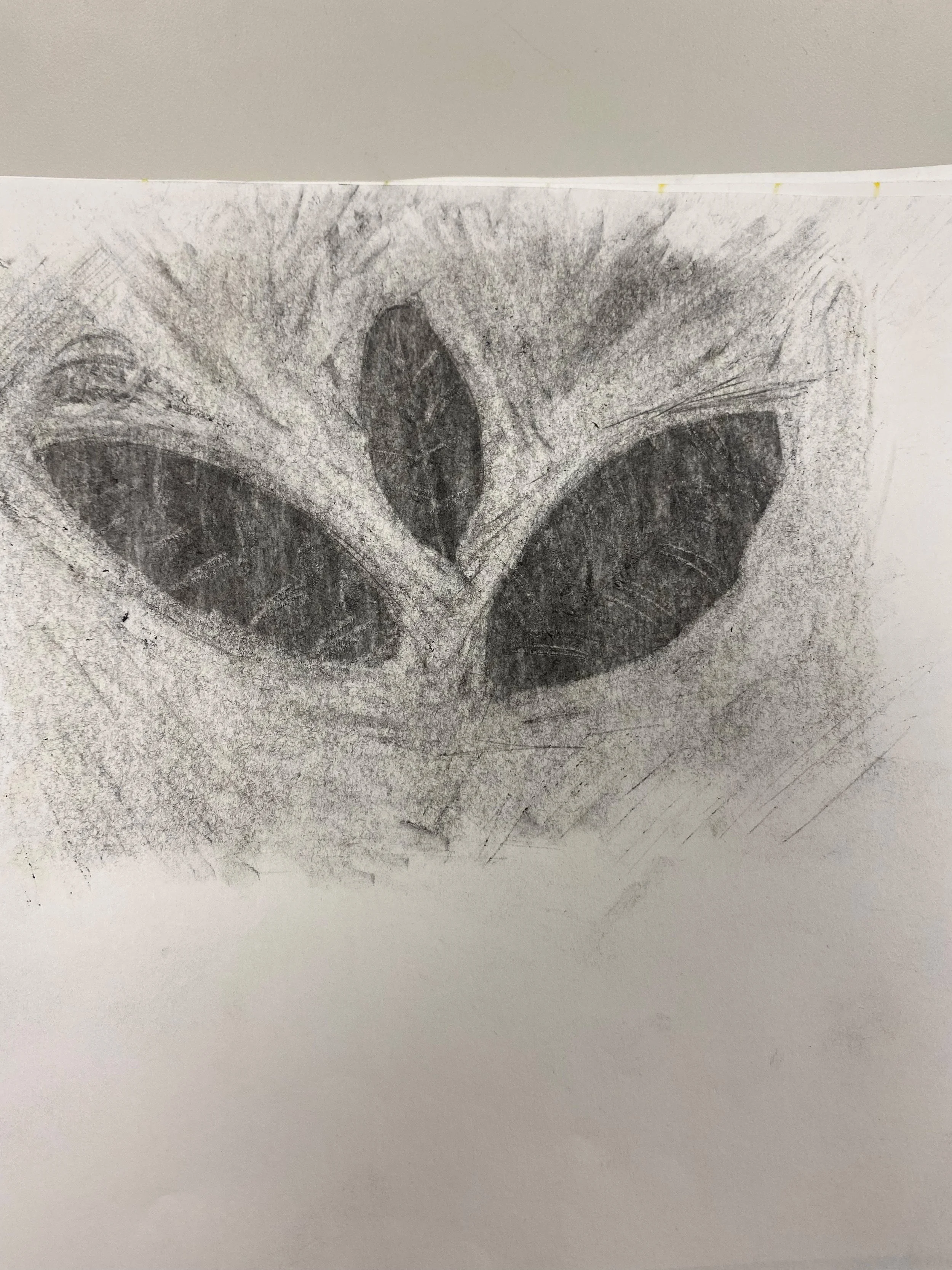 ggpDrawings2.jpg