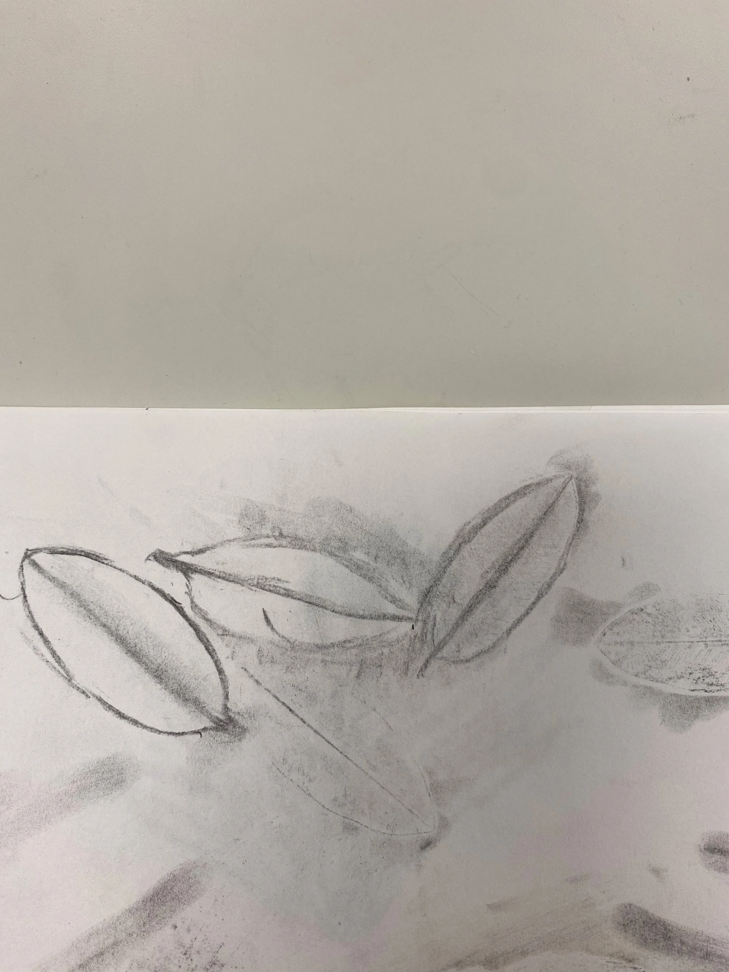 ggpDrawings4.jpg