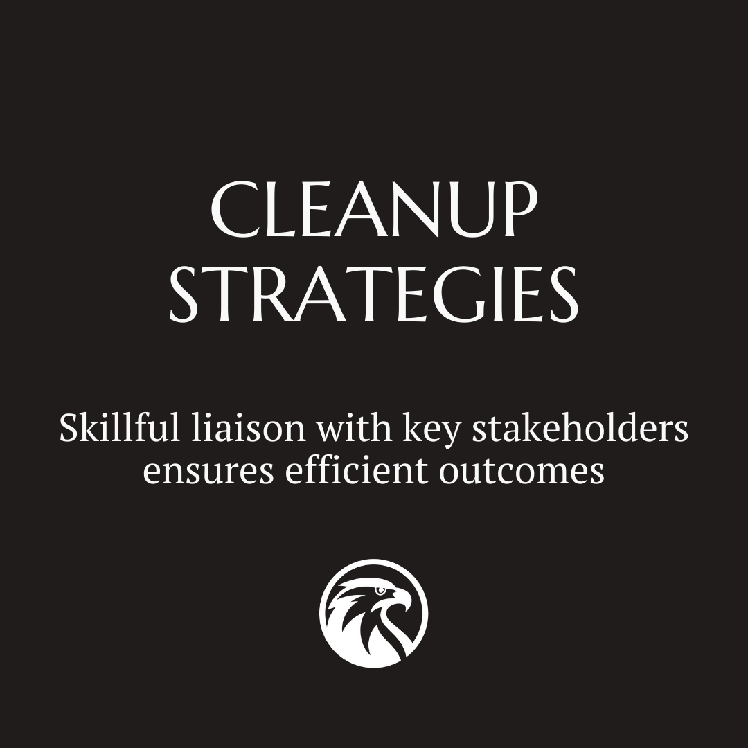 Tellus Capabilities 03.png