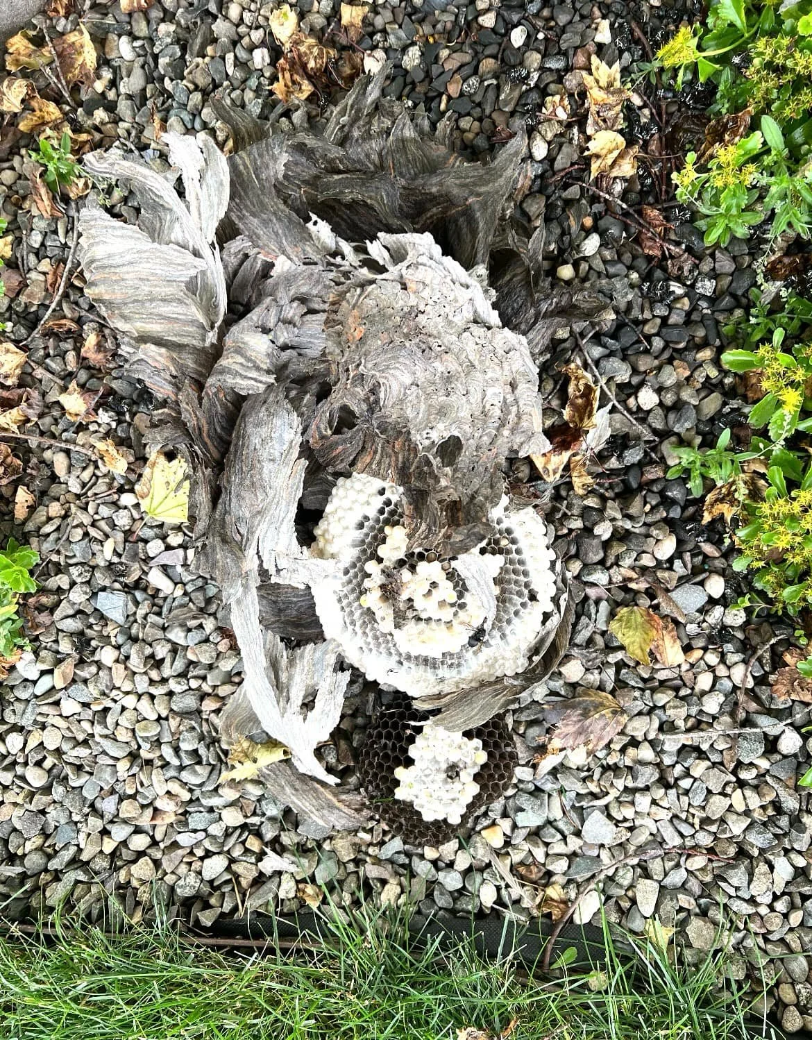 315e717d-4569-4ada-82a0-4e8ee4a6bab0.jfif