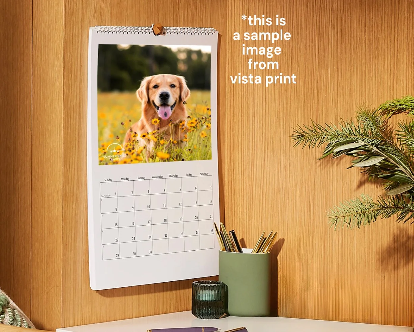 Screenshot 2024-11-29 at 3.02.20 PM.jpg