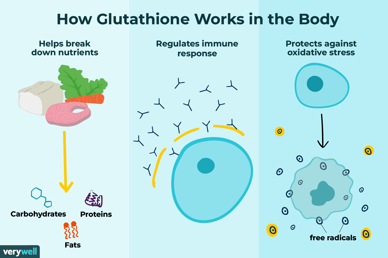 Glutathione's Healing Potential