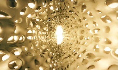 Cancer Metastasis CMN Hospital