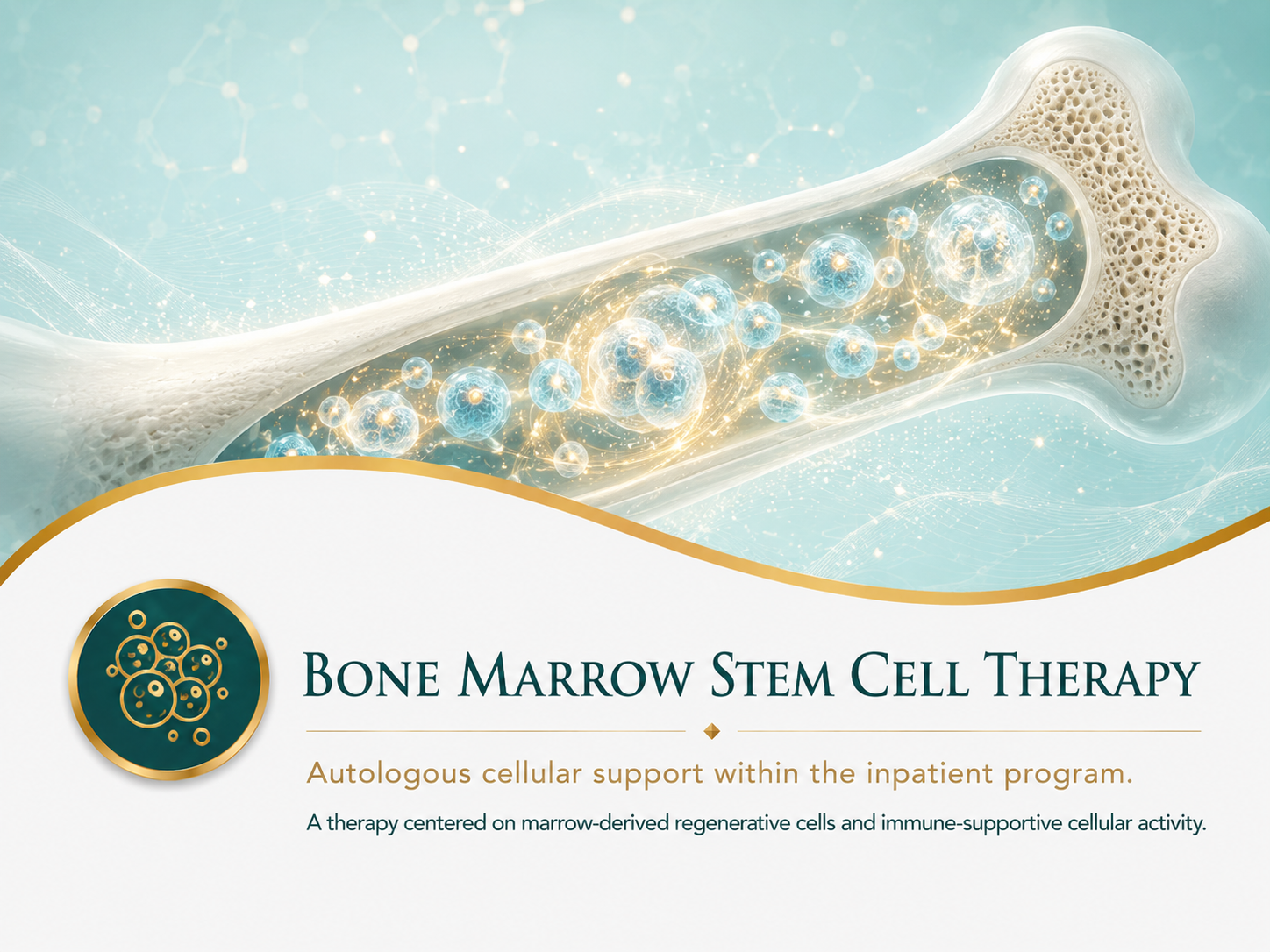 Bone Marrow