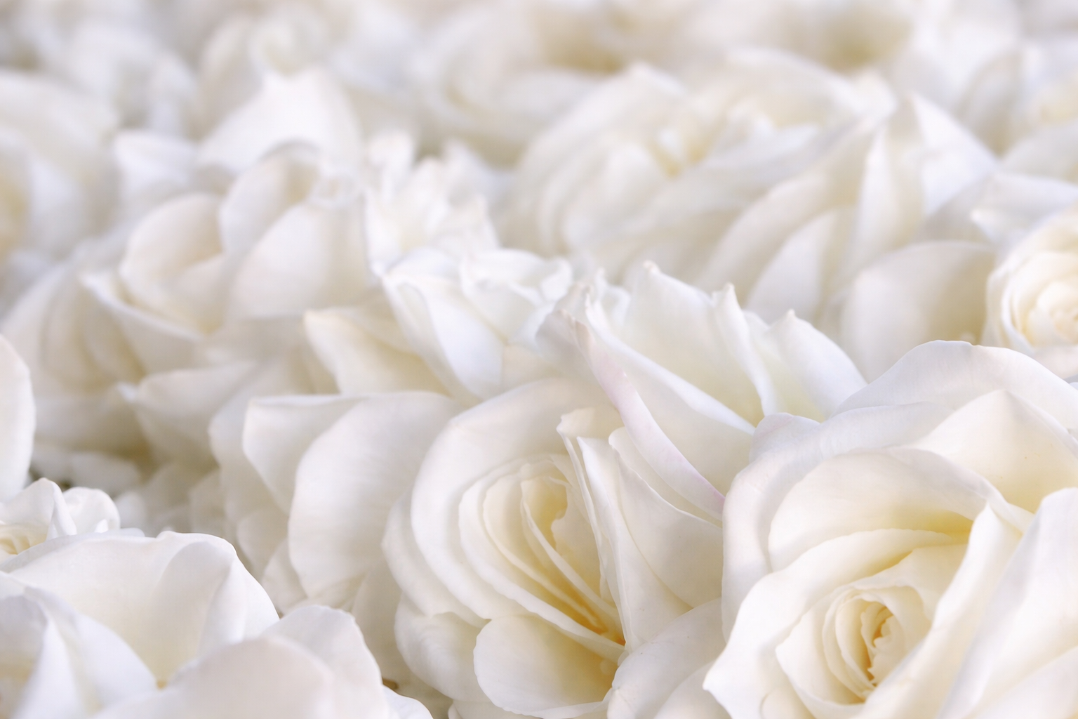 ChatGPT Image Apr 18, 2026, 05_58_54 PM.png