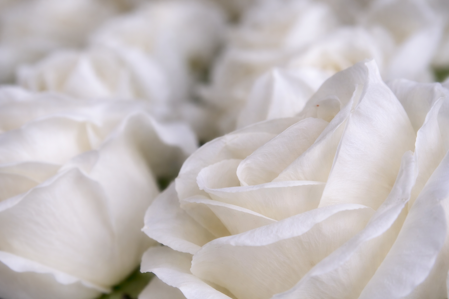 ChatGPT Image Apr 18, 2026, 06_02_21 PM.png