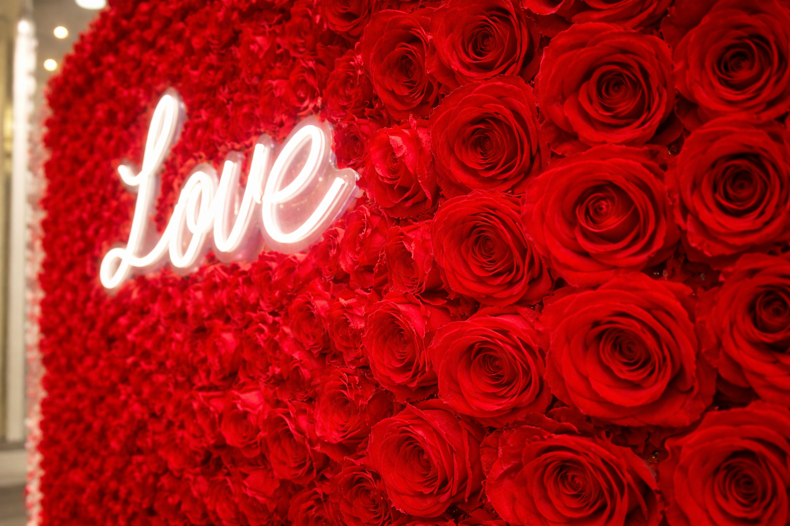 ChatGPT Image Apr 18, 2026, 02_13_27 AM.png