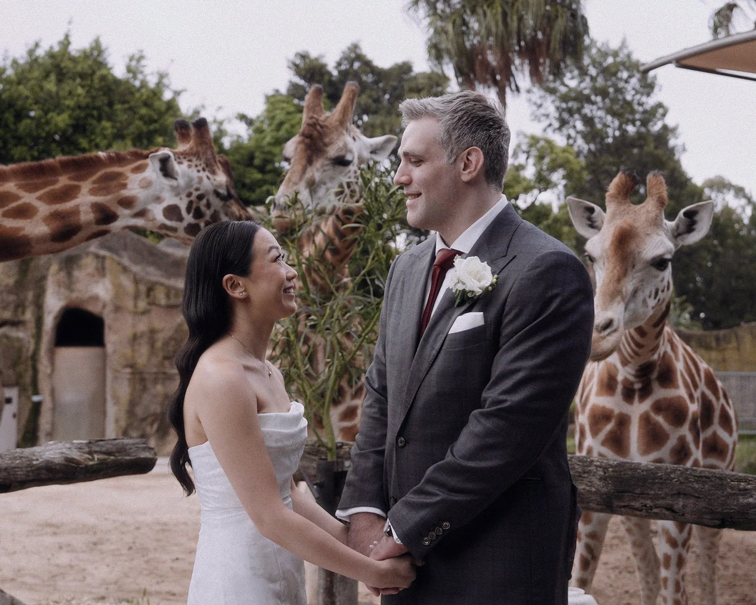 MELBOURNE ZOO || HUE &amp; TOM