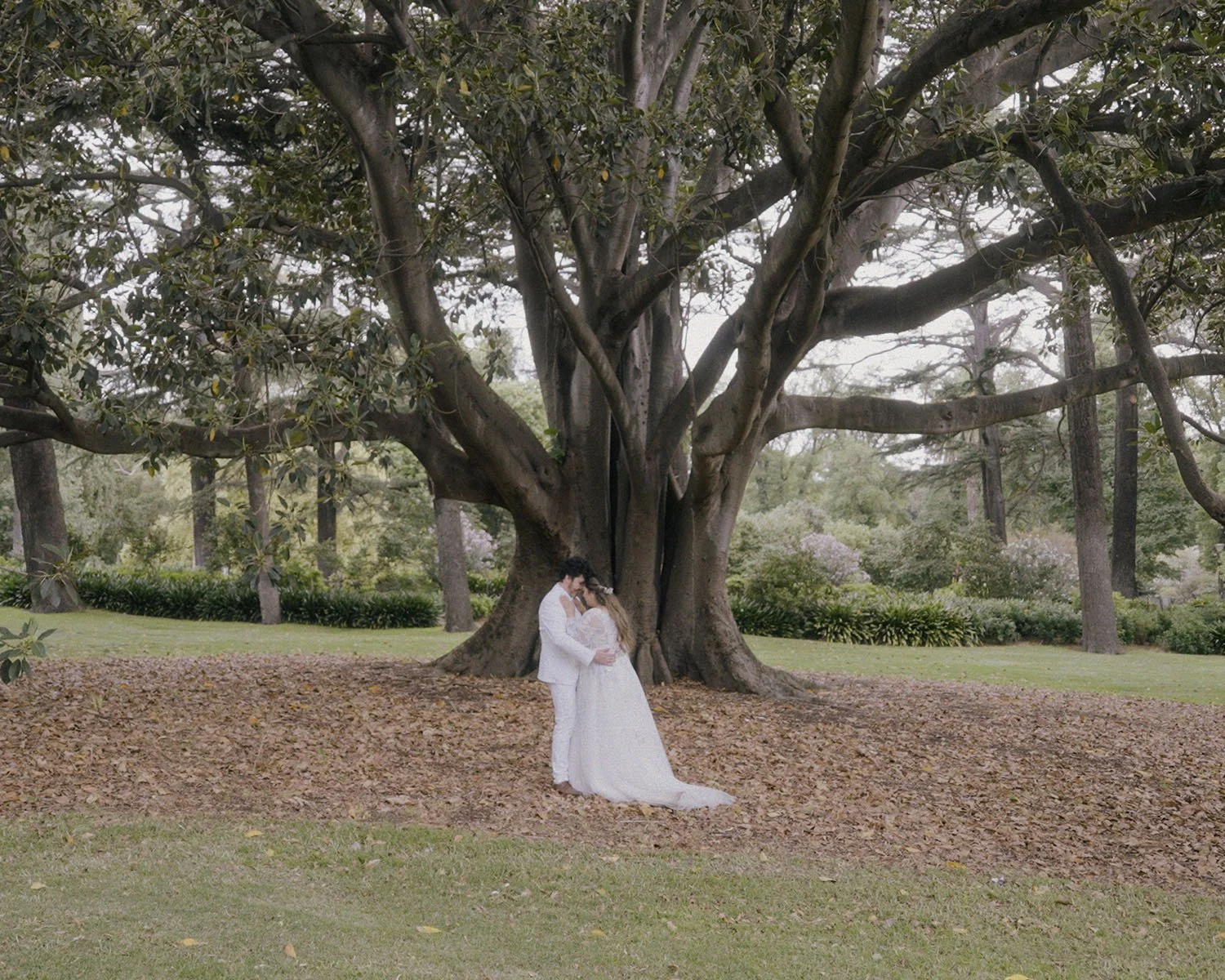 THE CONSERVATORY || CRISTINA &amp; MATT