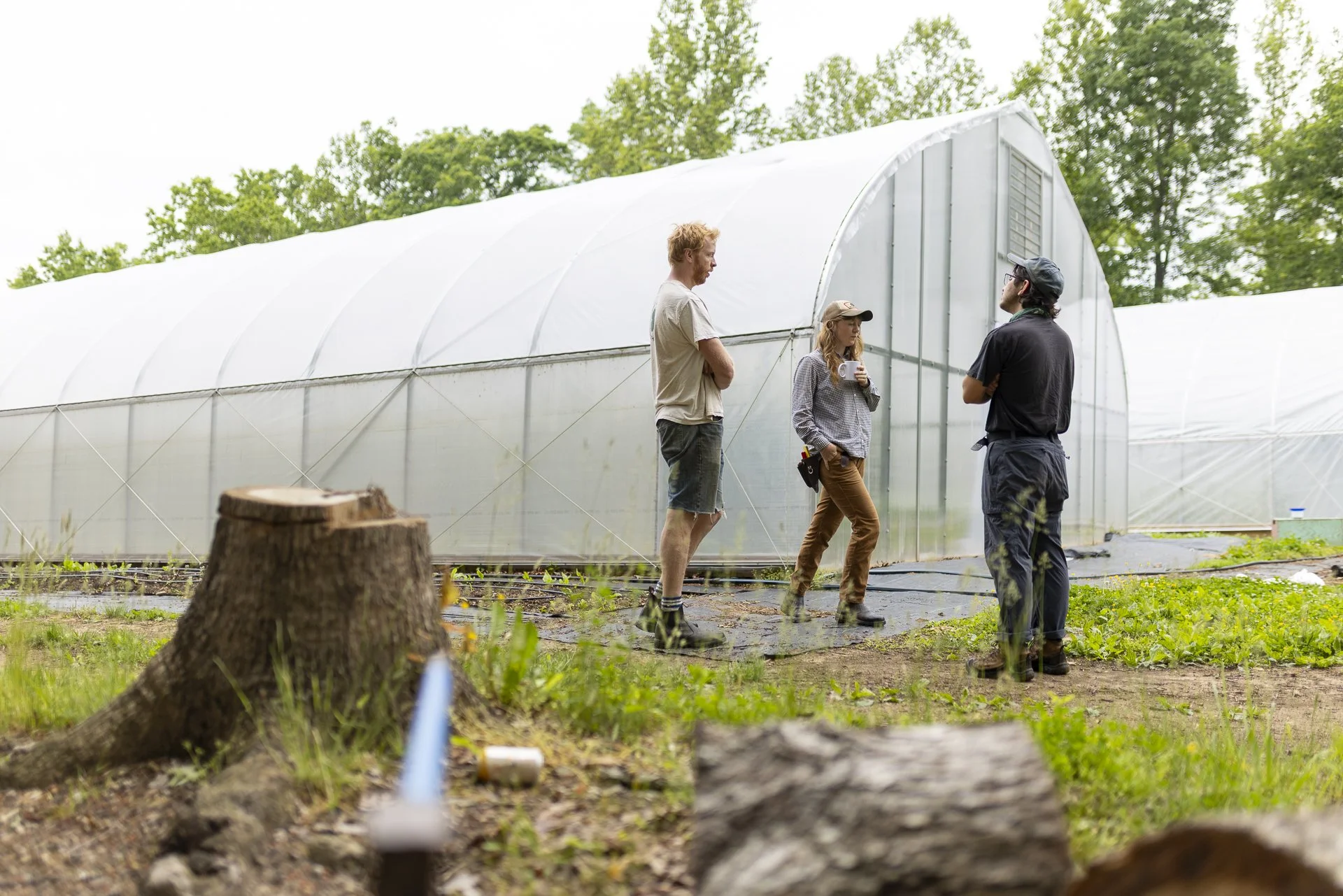 September Sun Produce