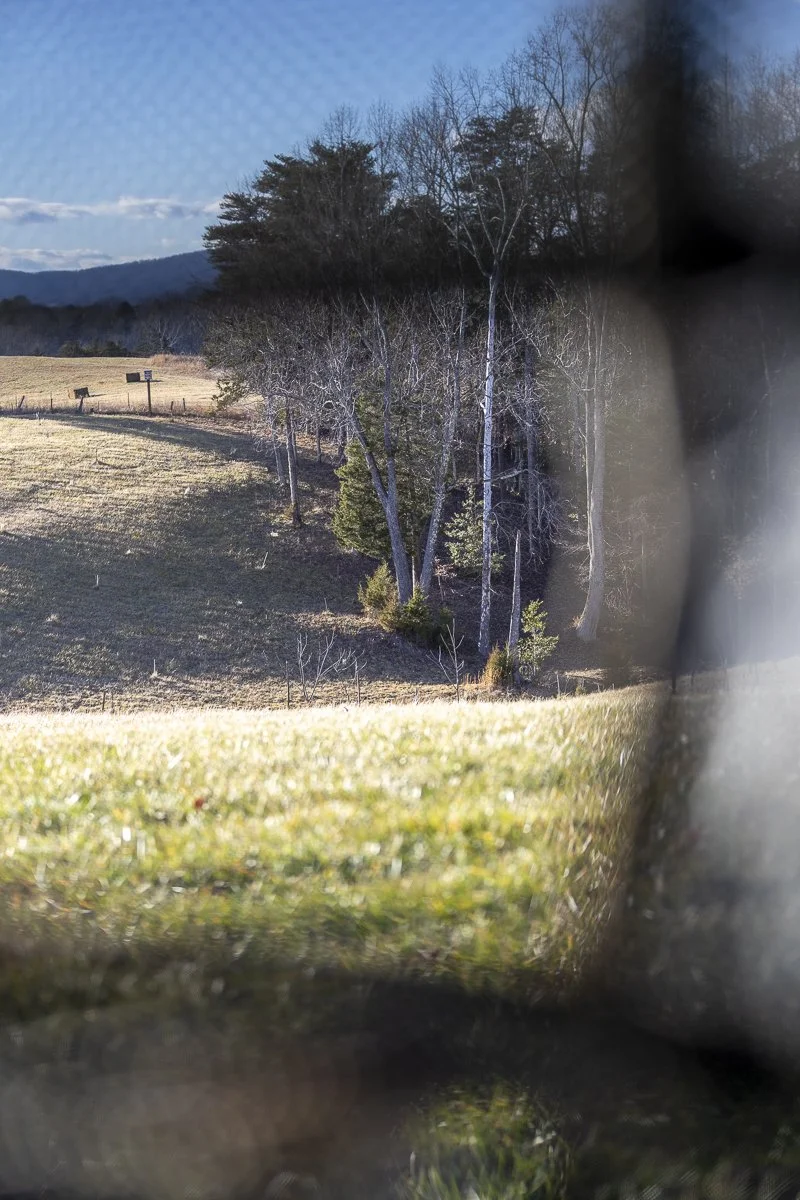 Chime Studio Hunters for the Hungry 50.jpg