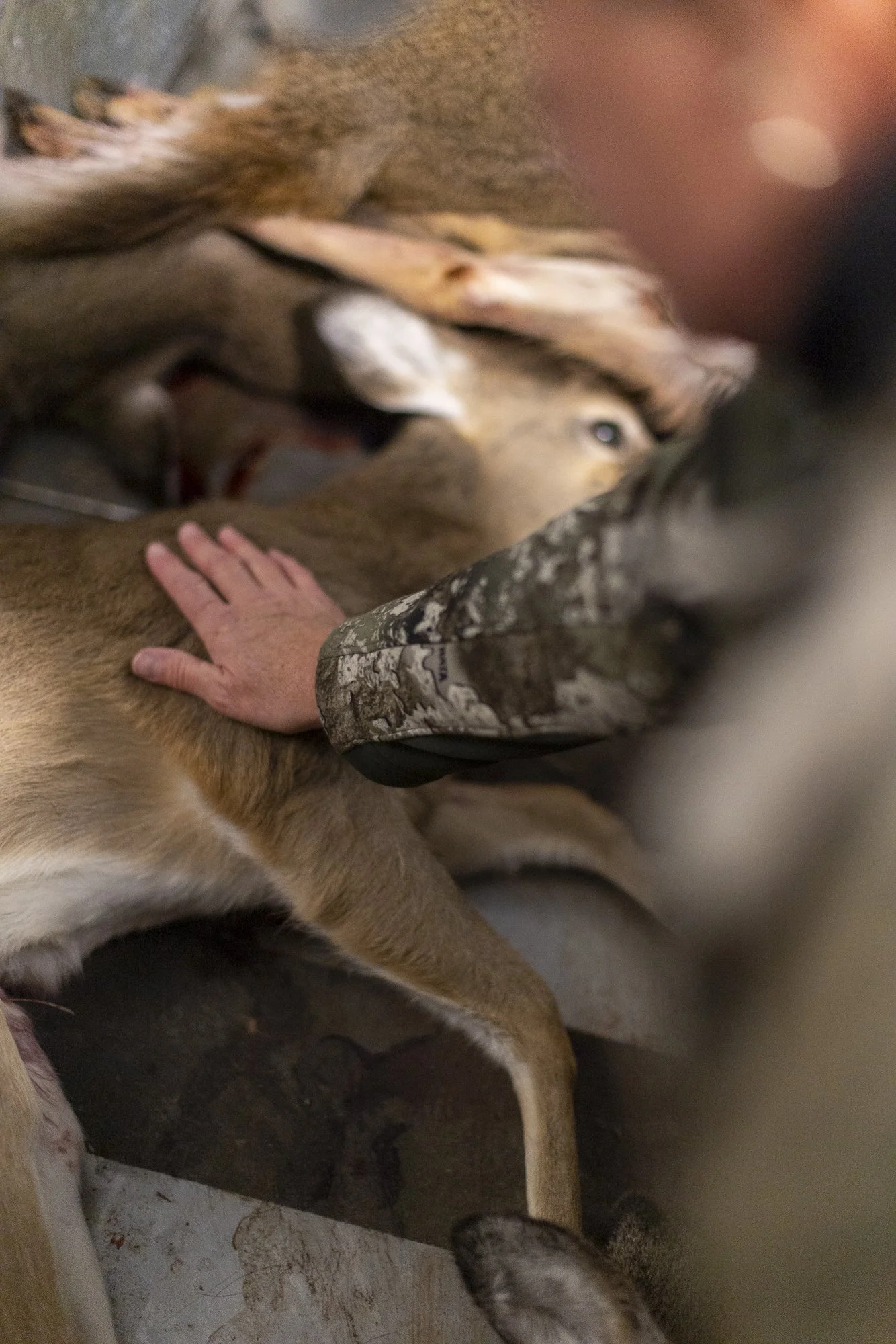 Jeff Morgan_Hunters for the Hungry_119.jpg