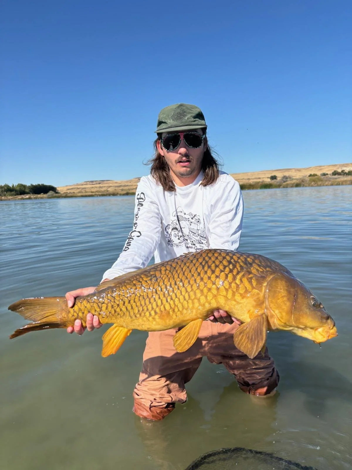 Man wearing sunglasses and a green cap, holding a large orange and brown fish in shallow water with a clear blue sky and a landscape of rolling hills in the background.