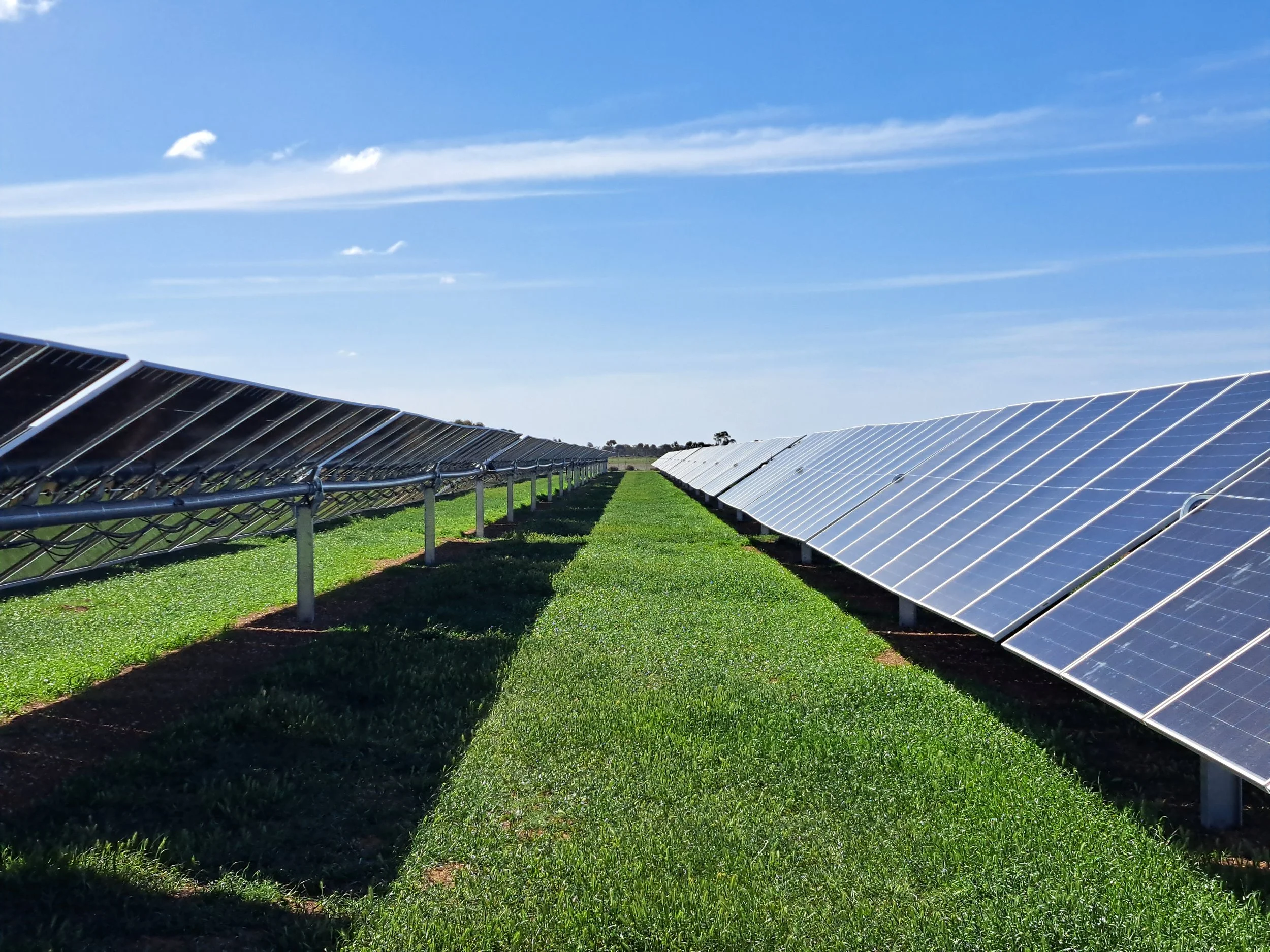 CPE's Hay Solar Farm panels with multiple rows of solar panels installed on a grassy field under a blue sky with a few clouds.