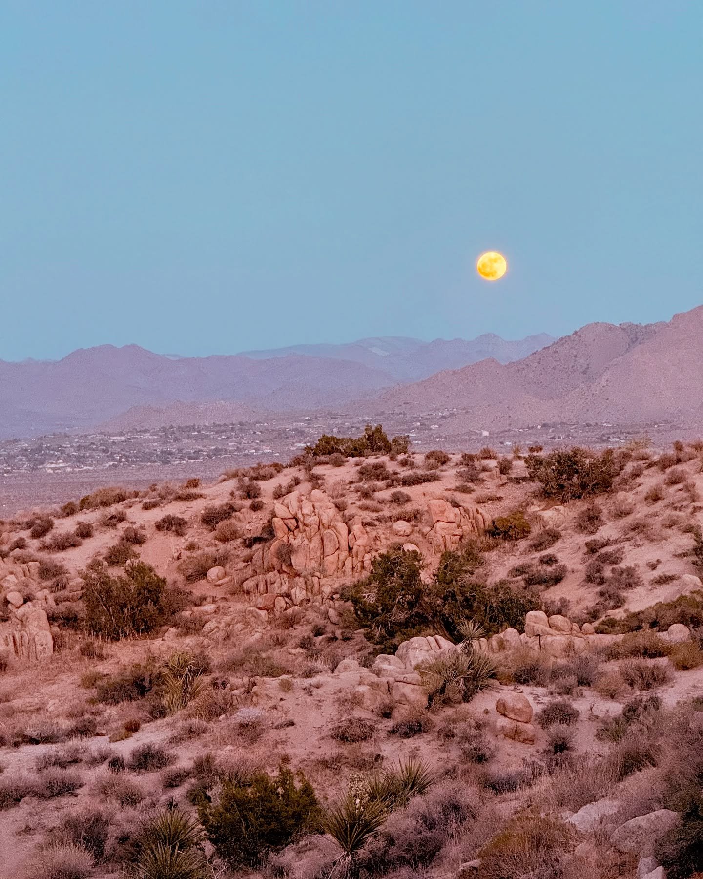 Strawberry Full Moon

The first fruits ripen
under light that doesn&rsquo;t lie -
everything ready
reveals itself
in its own time.

What we thought was darkness
was just the waiting.
What we called delay
was just the becoming.

The moon knows:
fullne