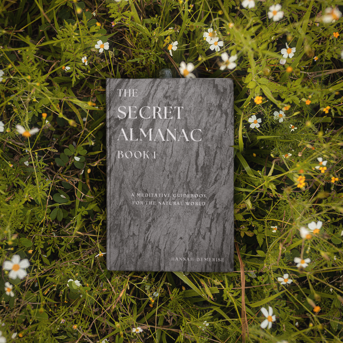 mockup-featuring-a-book-surrounded-by-wildflowers-m18732 (1)-sq - Copy.png