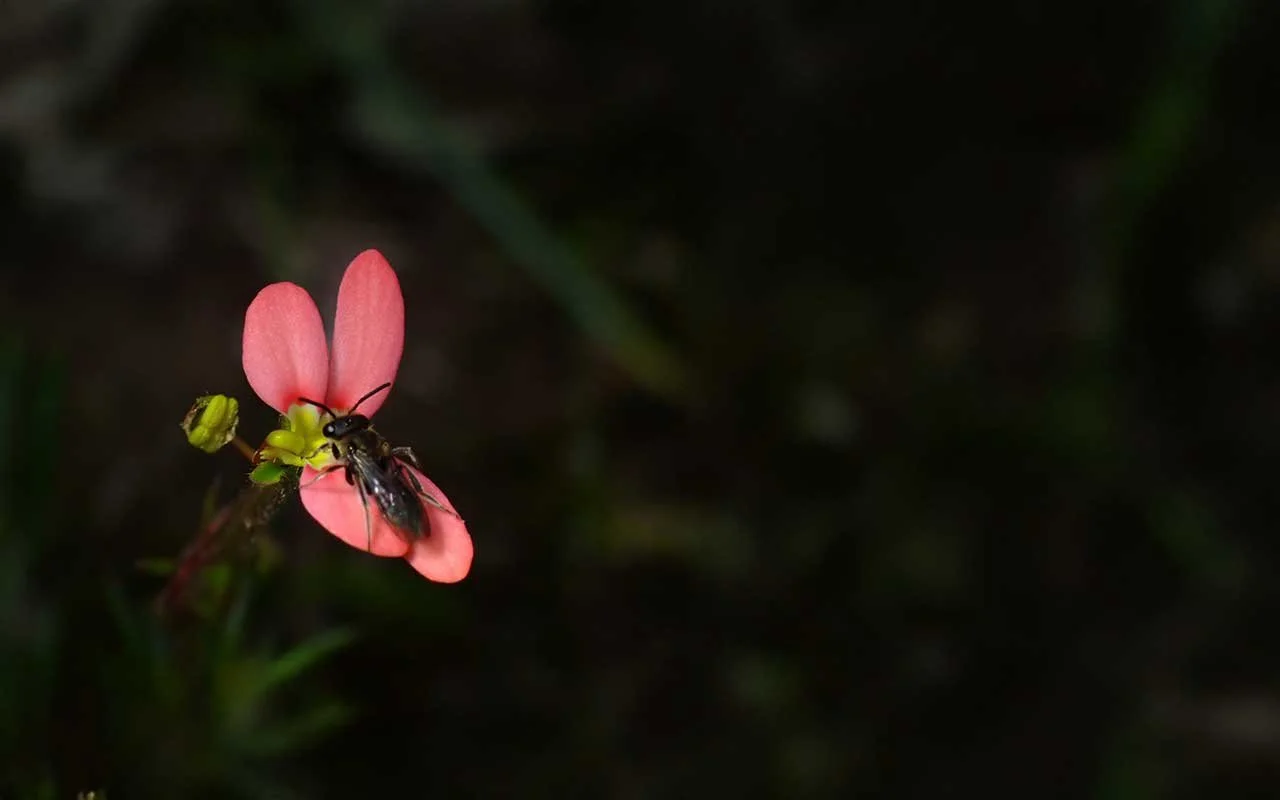 Prompt Six - Something to Say