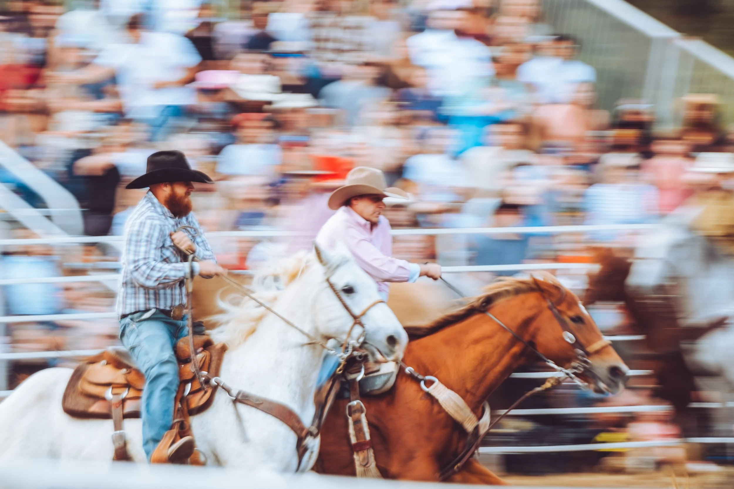 candid rodeo moments