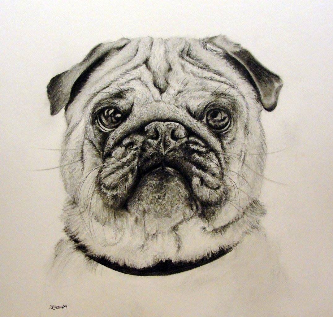 shiloh_pug_by_artbum1978_d2genp5-fullview.jpg