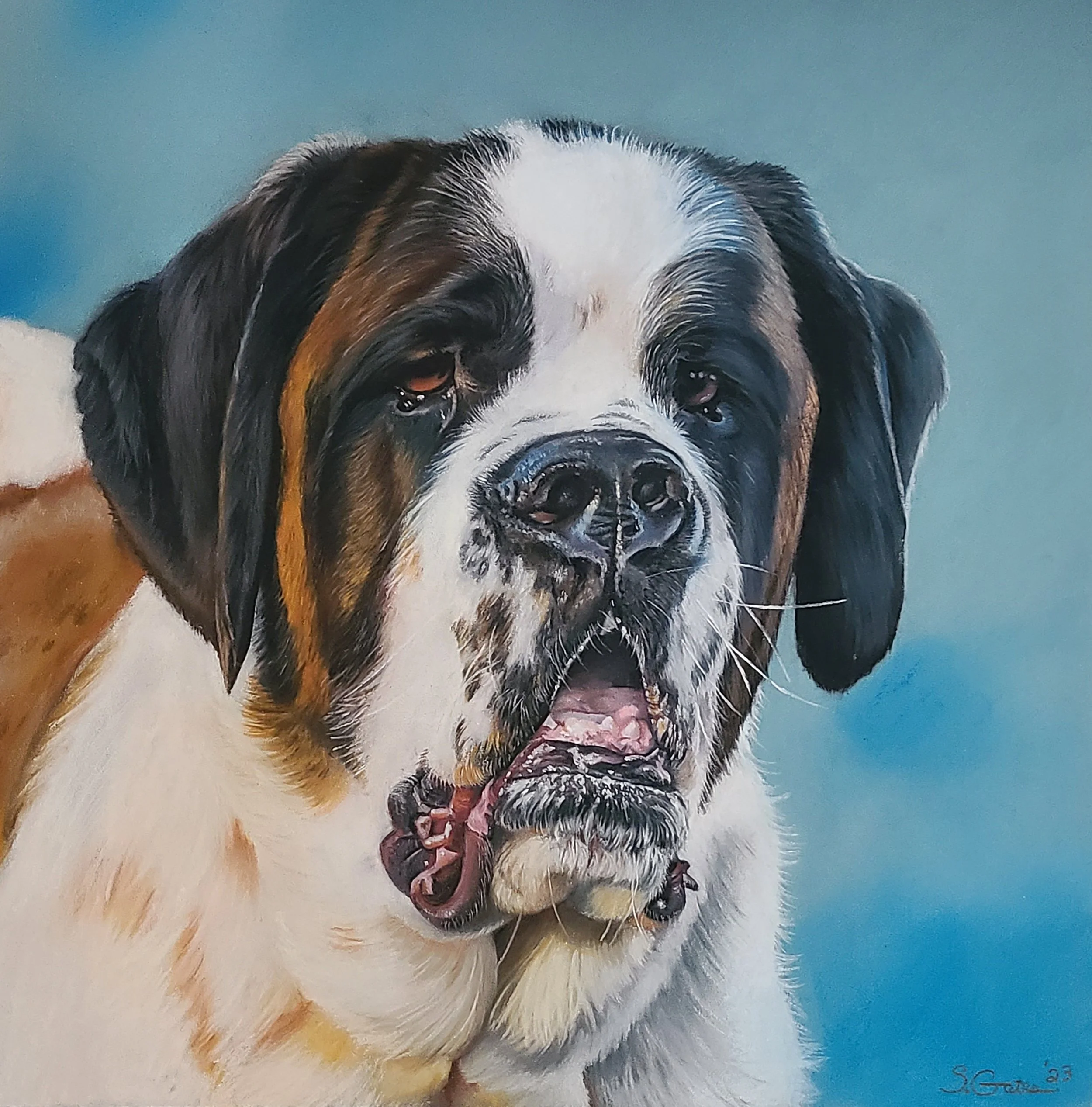 Maisy 16 x 20 2023